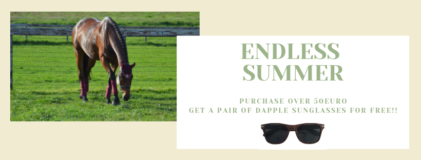 Celebrating the endless Summer