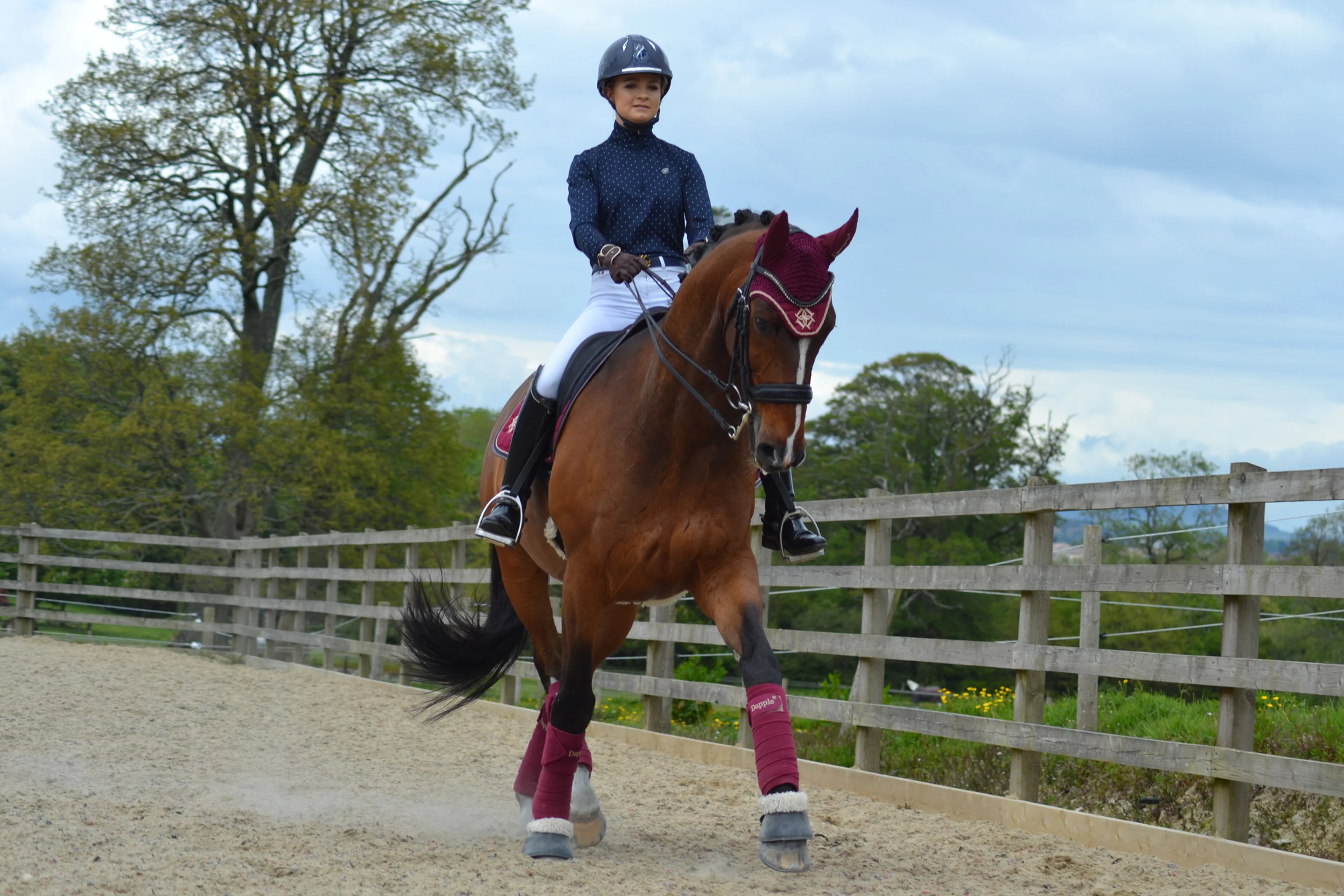 Planning your unprecedented Horsey Summer