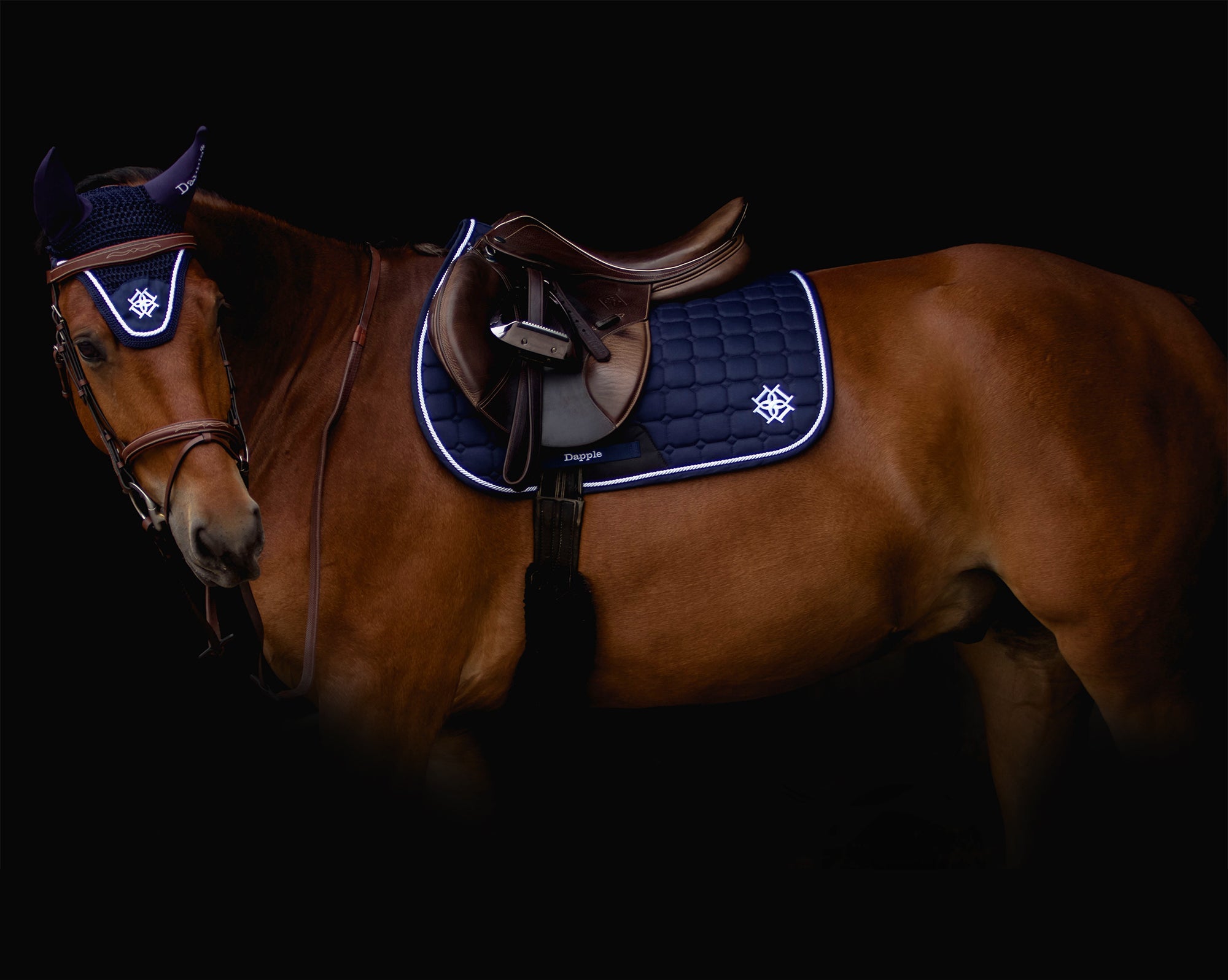 Introducing Dapple Navy & White Collection