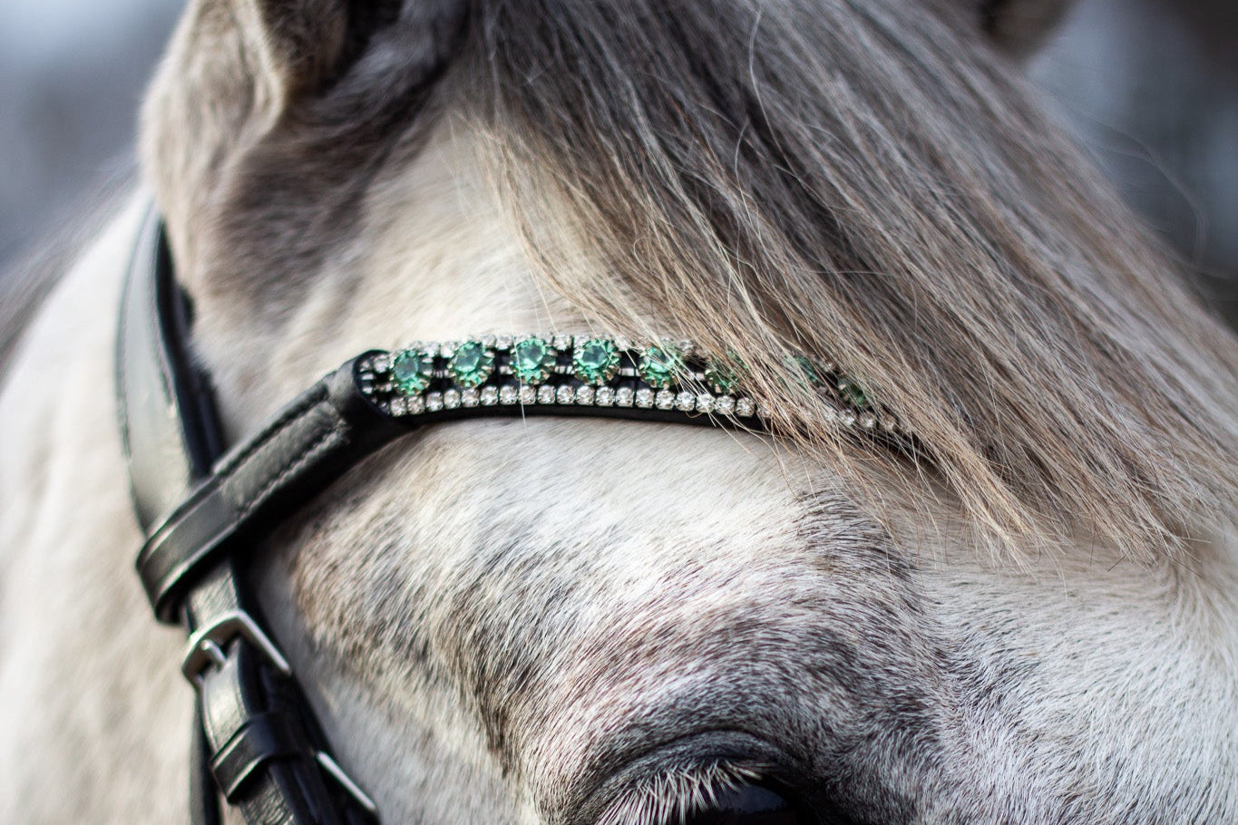 Browbands