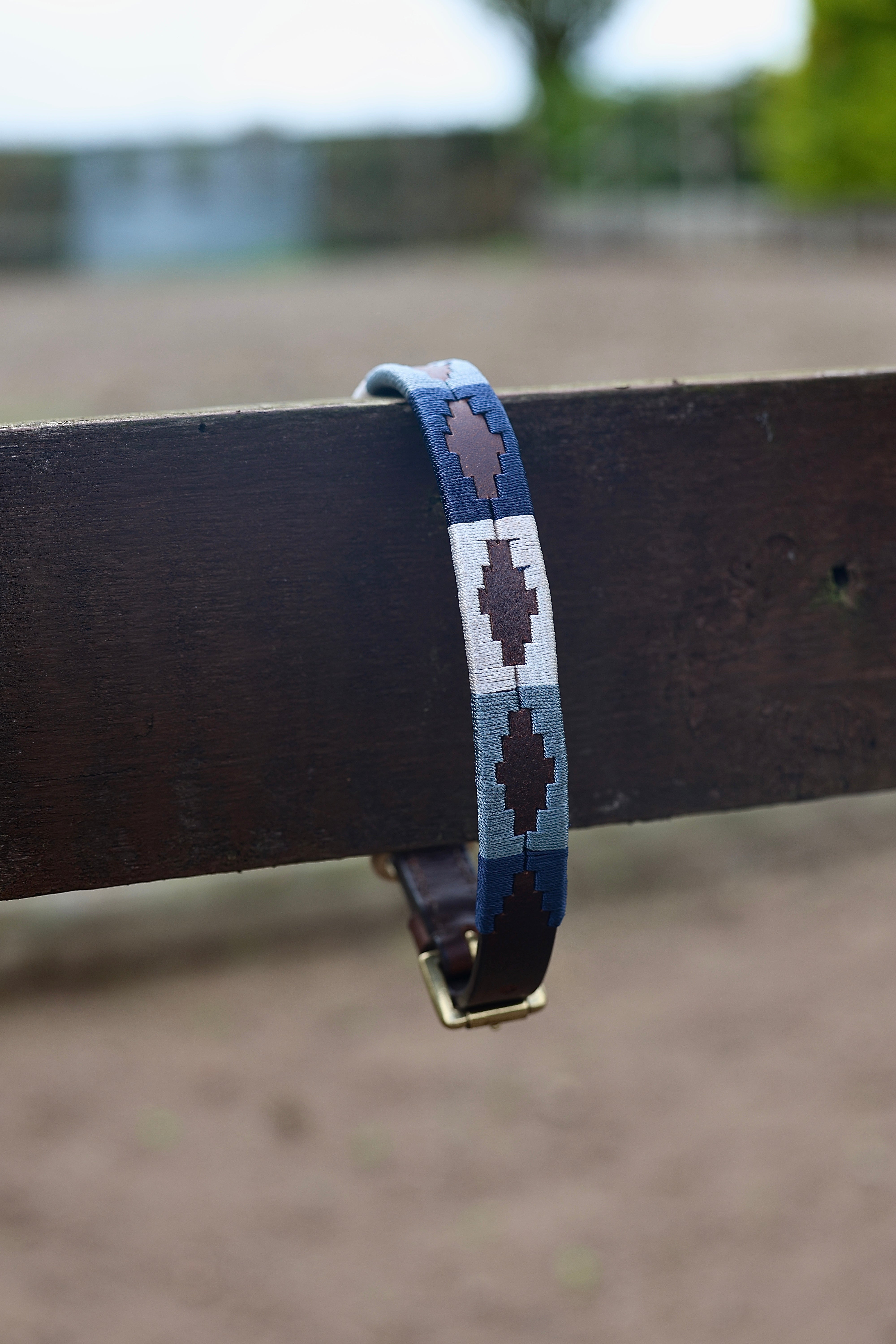 Gaucho Dog Collar