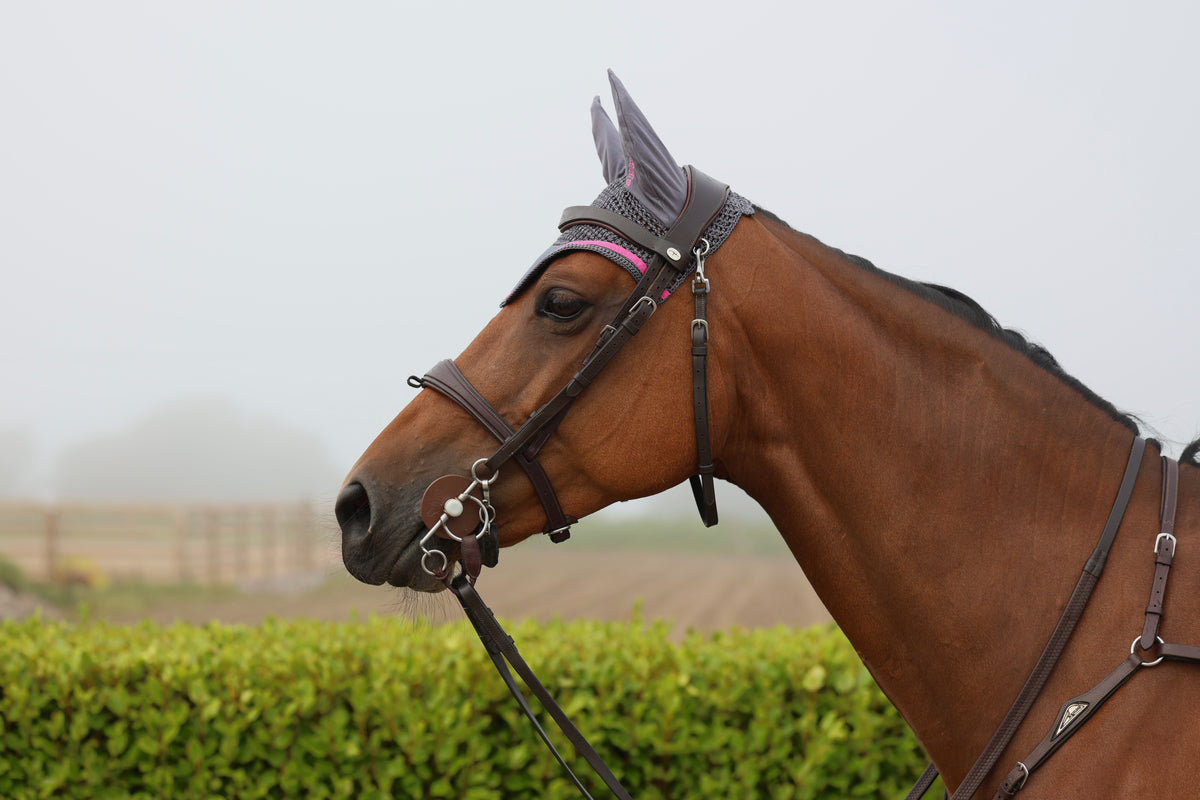 Grey & Fuchsia Fly Veil