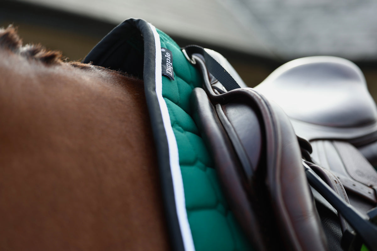 Green, Black & White Saddle Pad and Fly Veil Set - No logo
