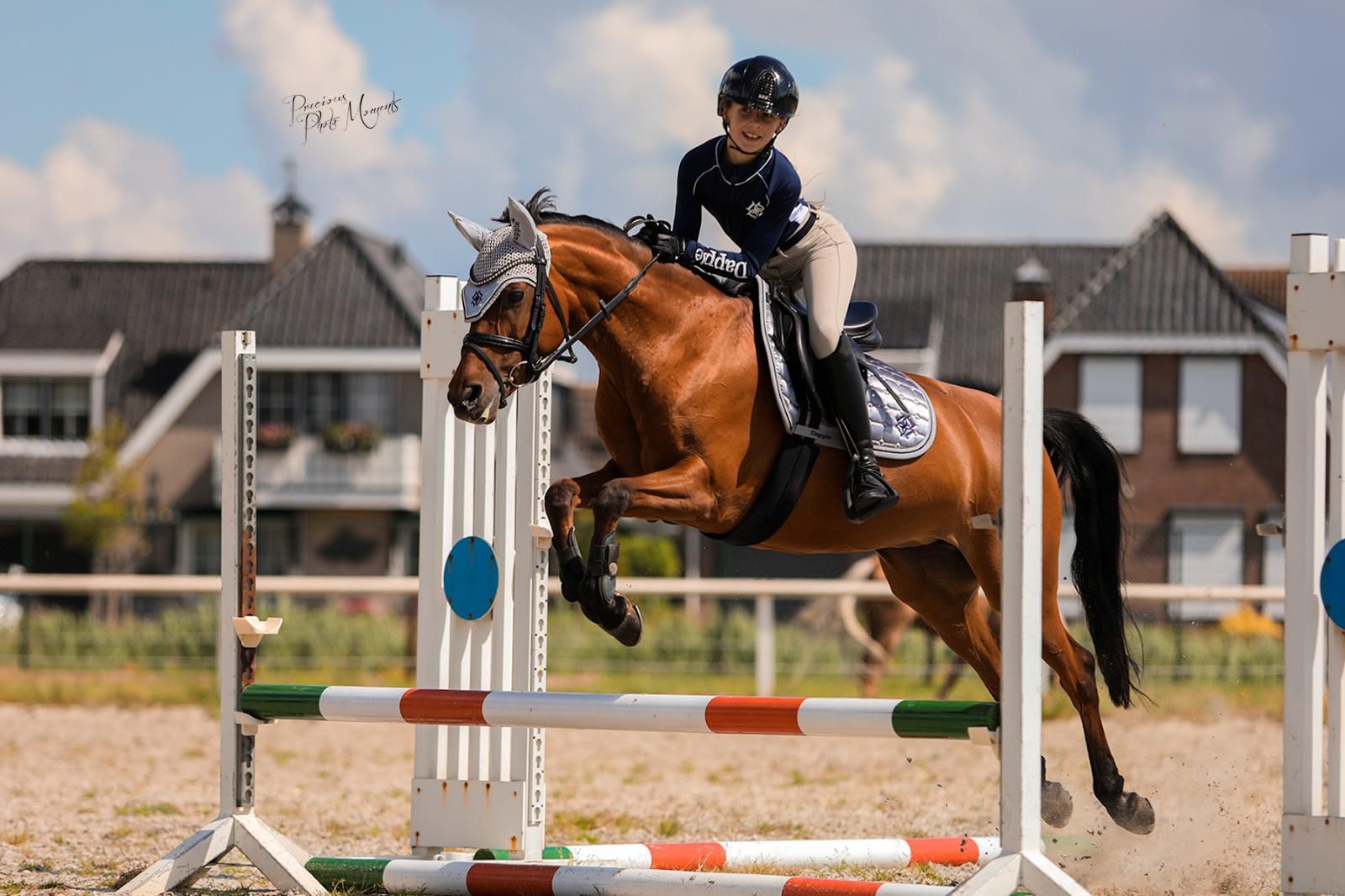 Pony and rider in fly flight over jump. wearing Dapple Equestrian Arctic Silver Jump Saddle Pad and Fly Veil