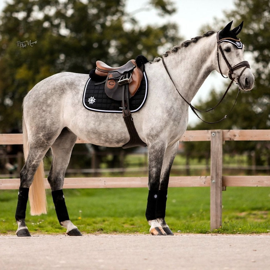 Dapple Equestrian Black Saddle Pad on white horse