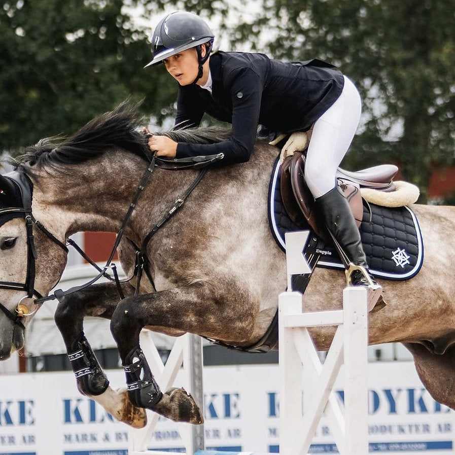 Show Jumper riding horse over fence wearing dapple equestrian black saddle pad