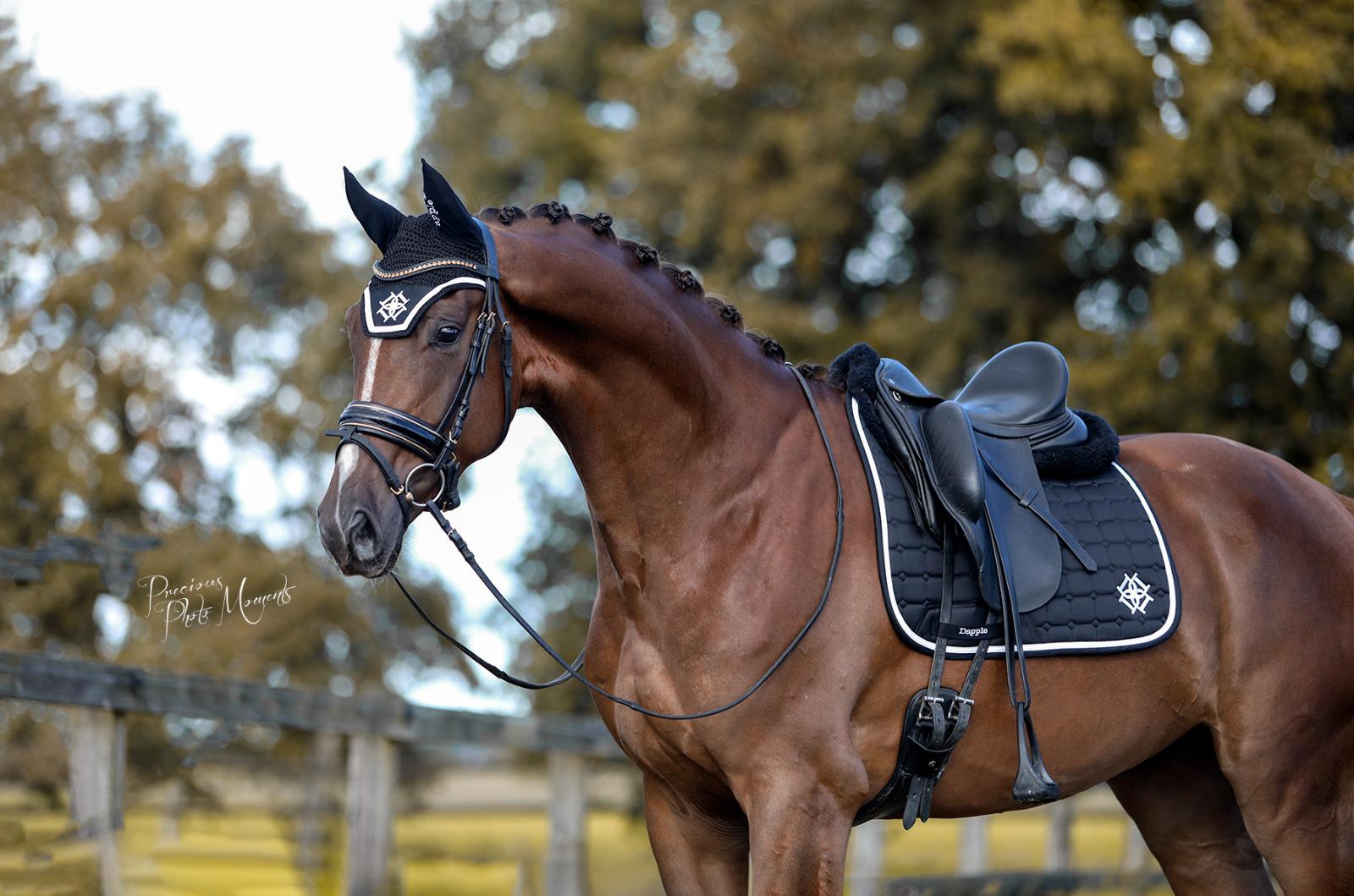 Black & White Dressage Saddle Pad