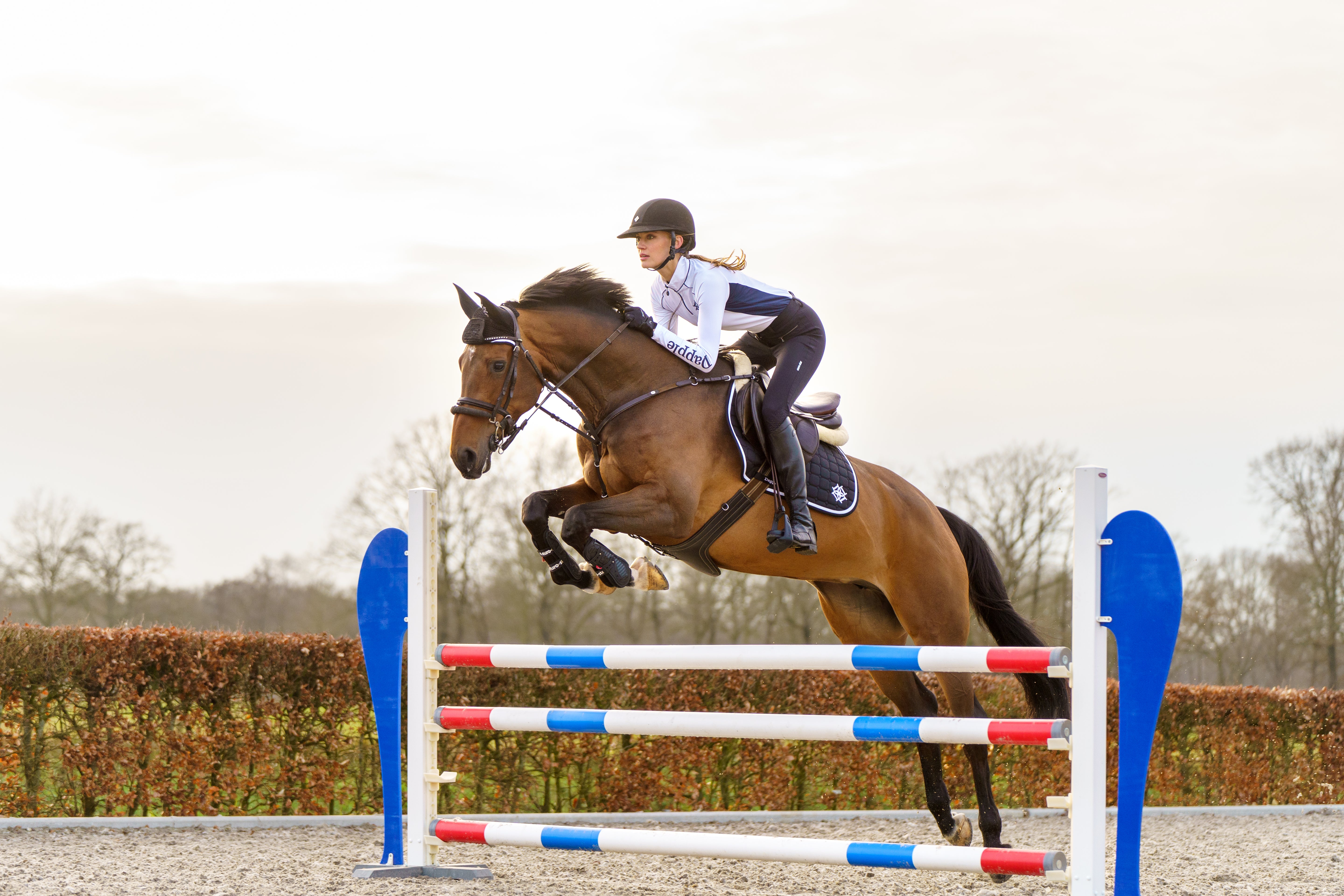 Black Jump Saddle Pad