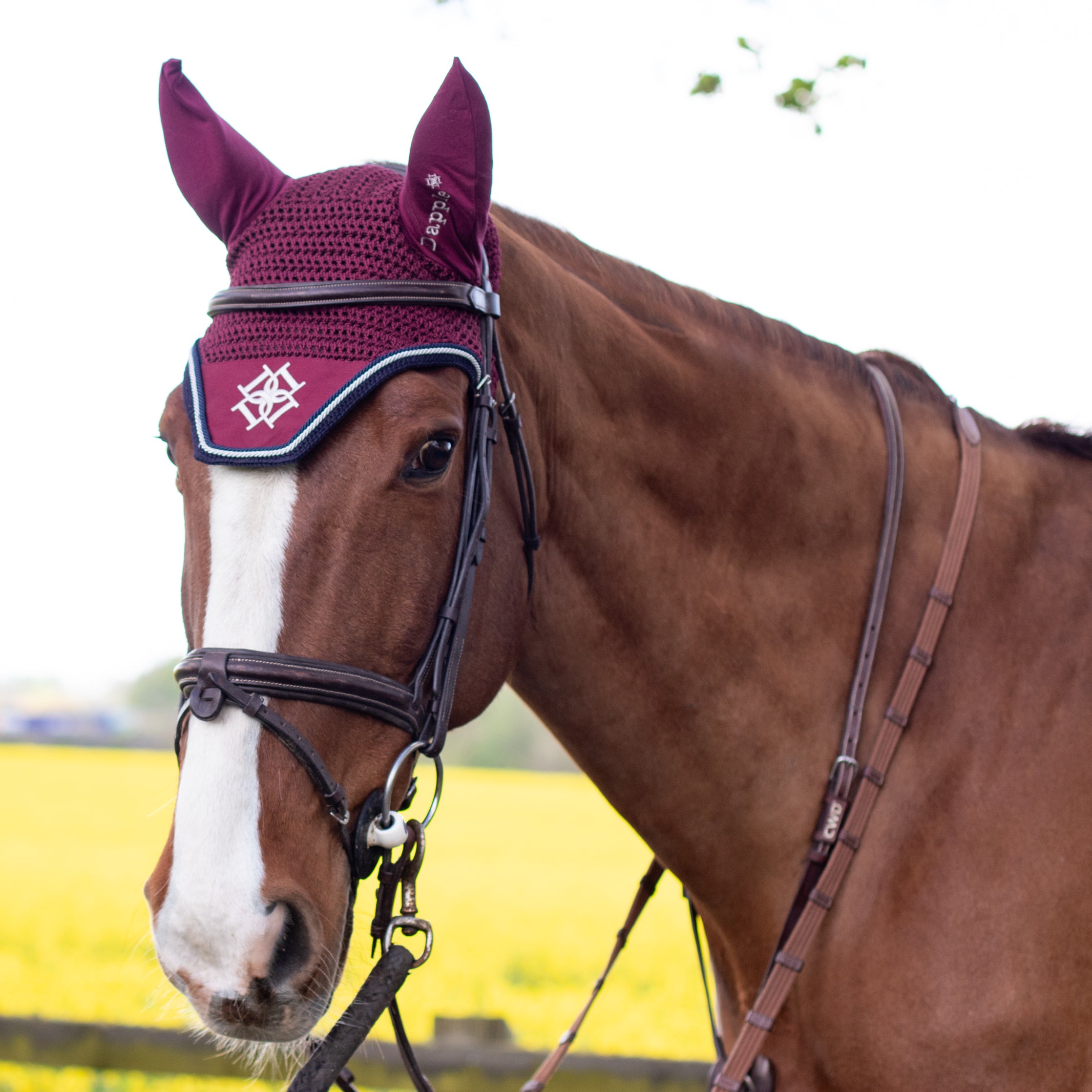 Burgundy Ear Bonnet