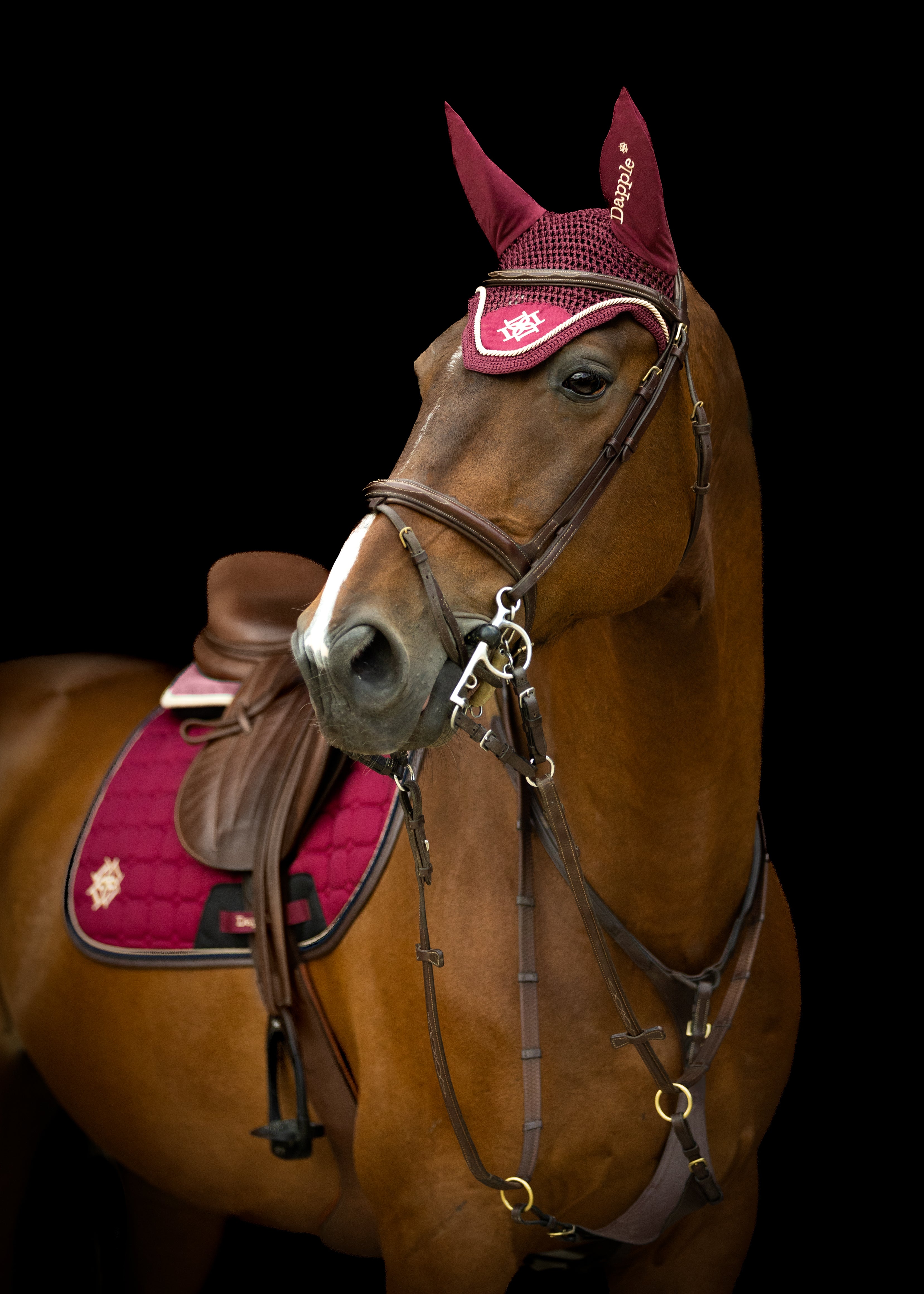Burgundy Fly Veil & Saddle Pad