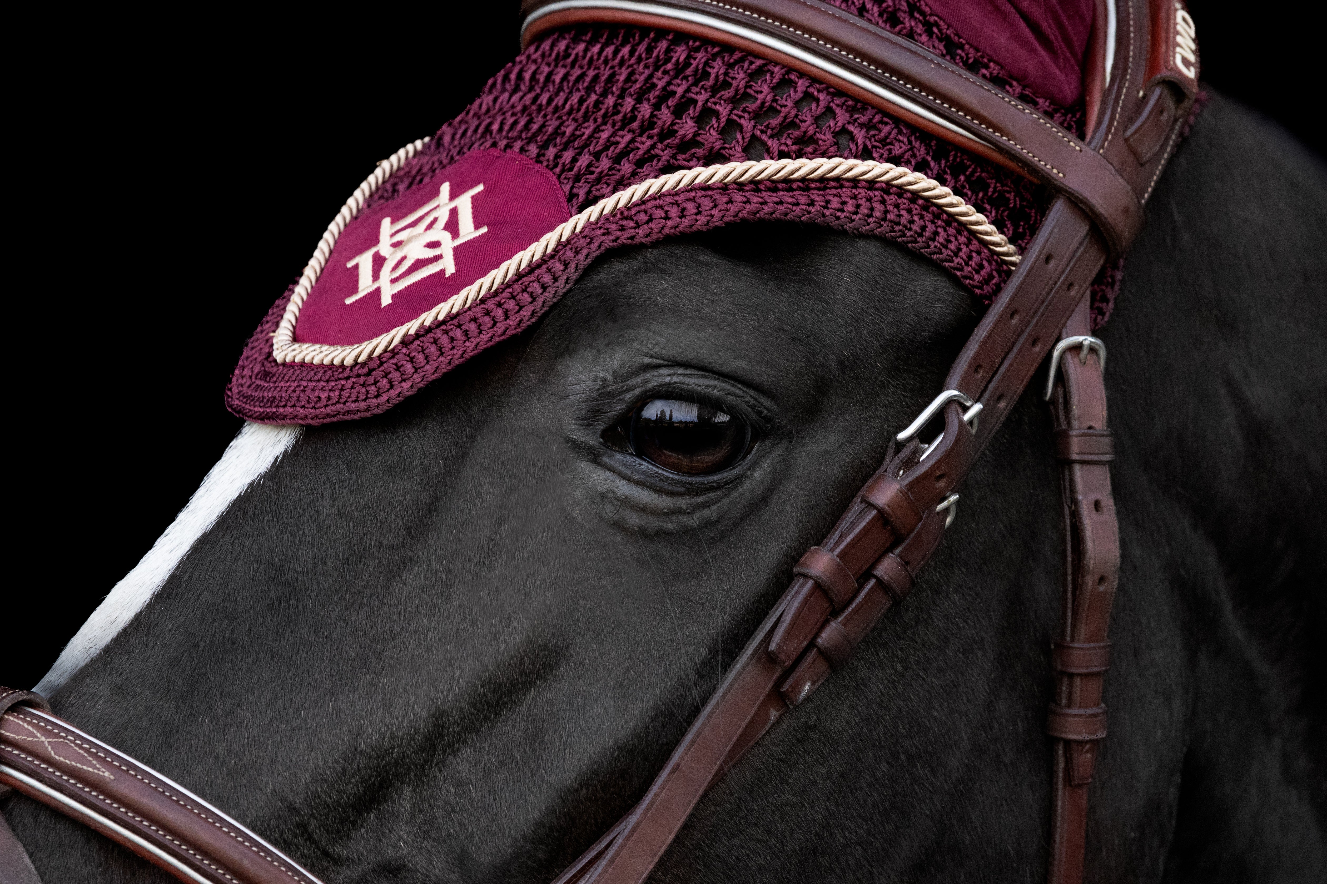 Dapple Burgundy with Beige piping Ear Bonnet