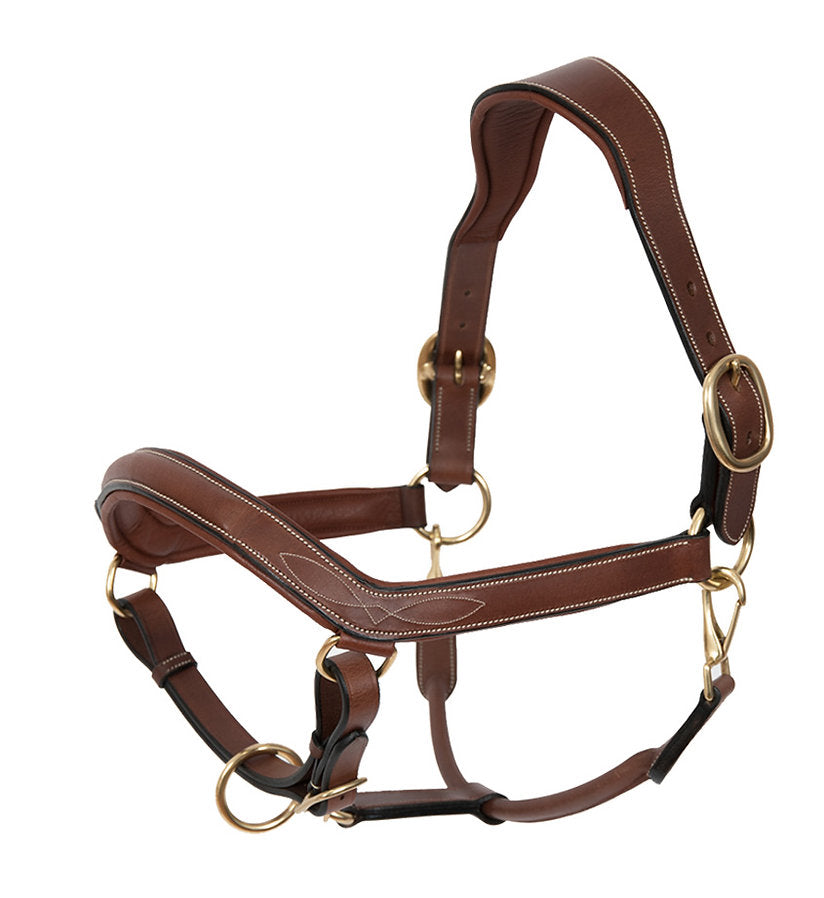 Product Image of Dapple Equestrian Comfort Leather Halter