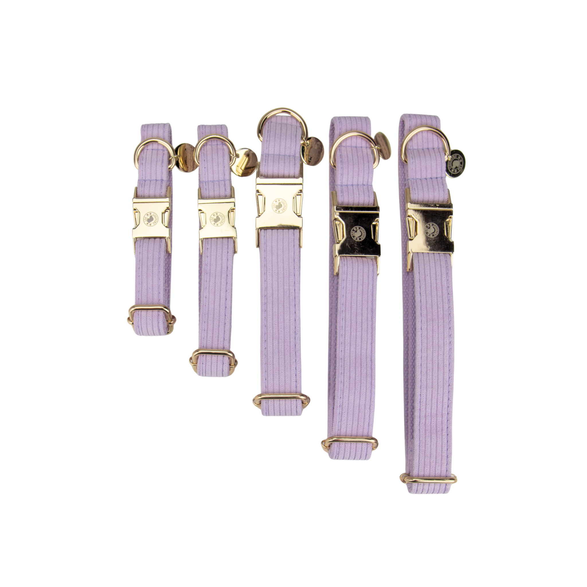Collars with Detachable Dickie Bow