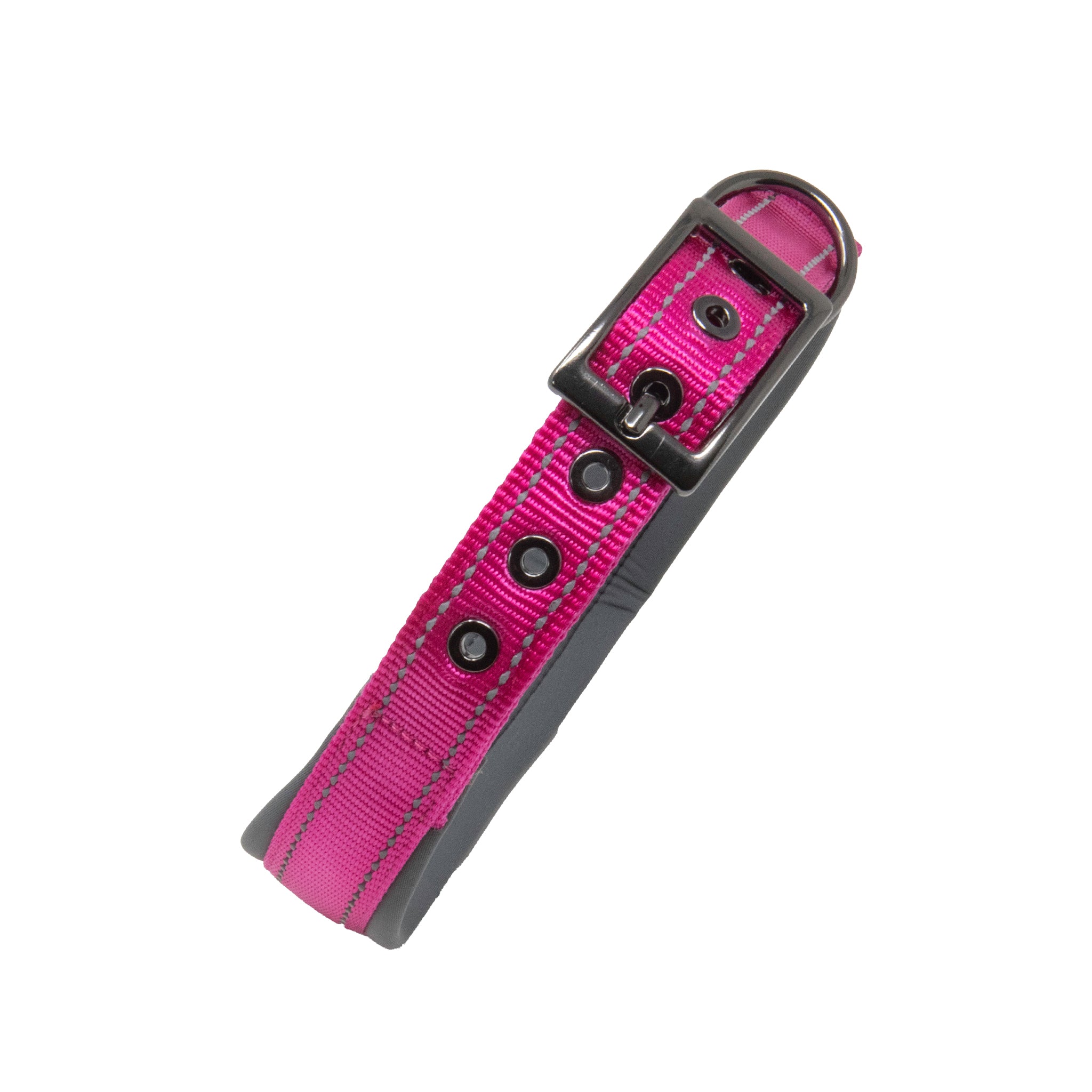 Sports Dog Collars