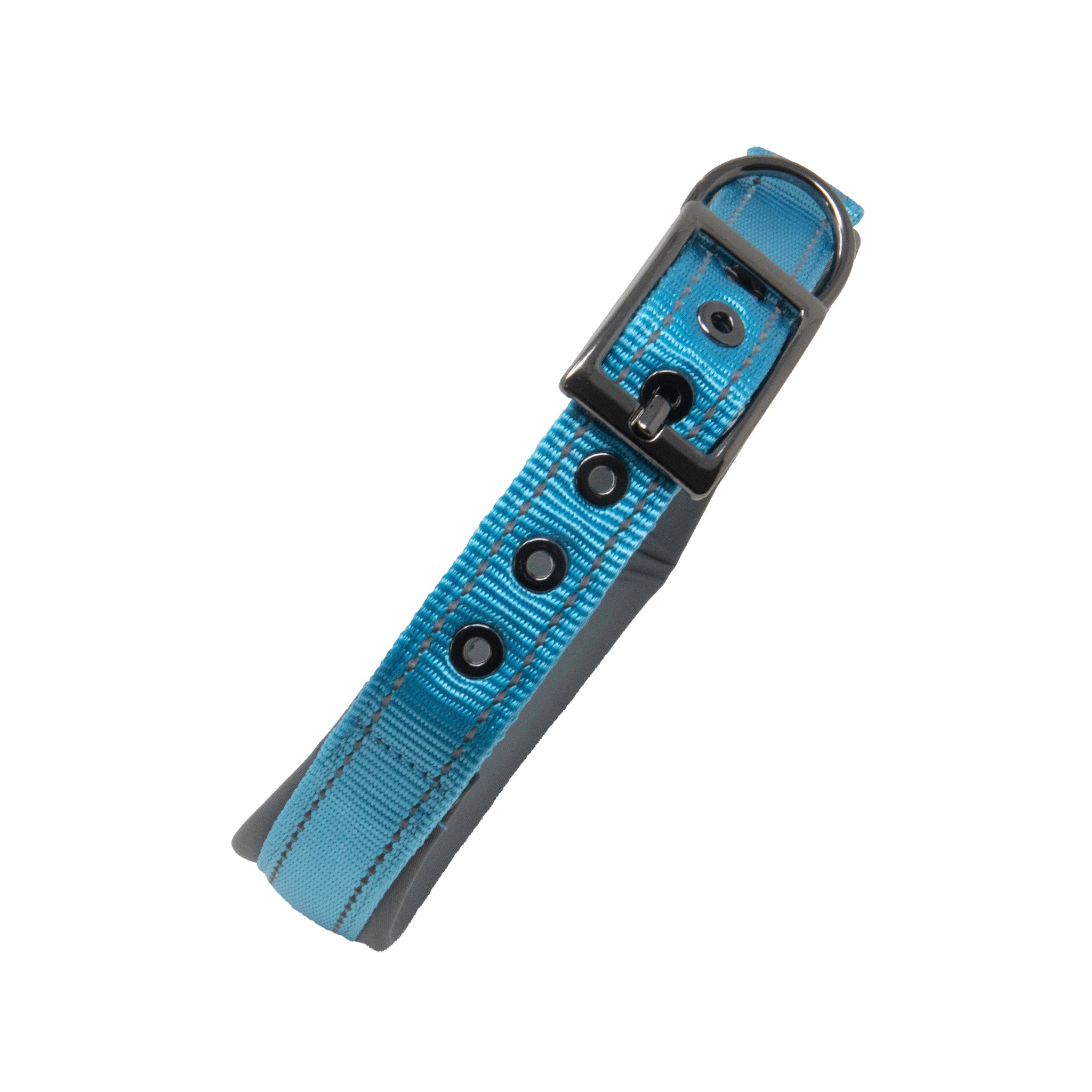 Sports Dog Collars