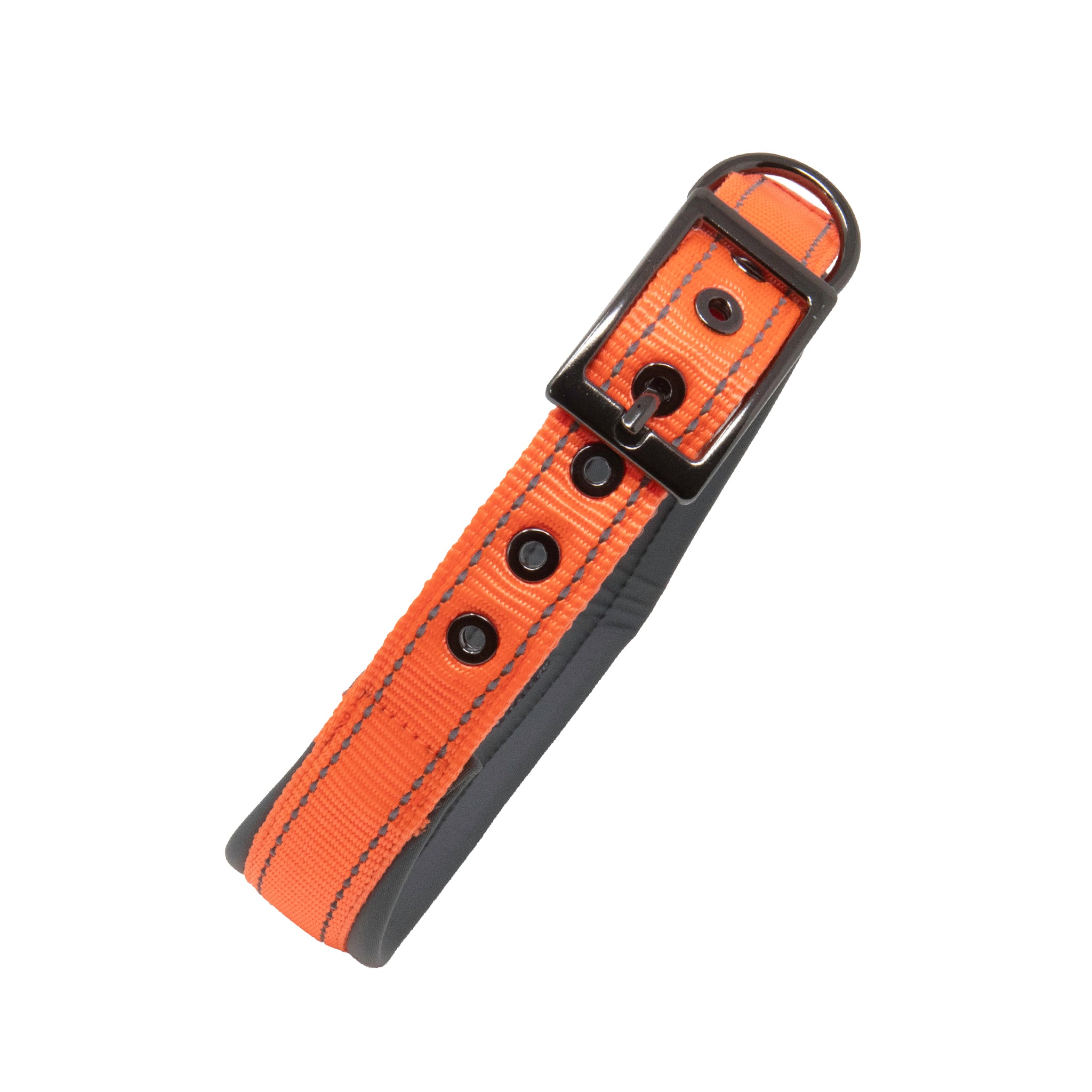 Sports Dog Collars