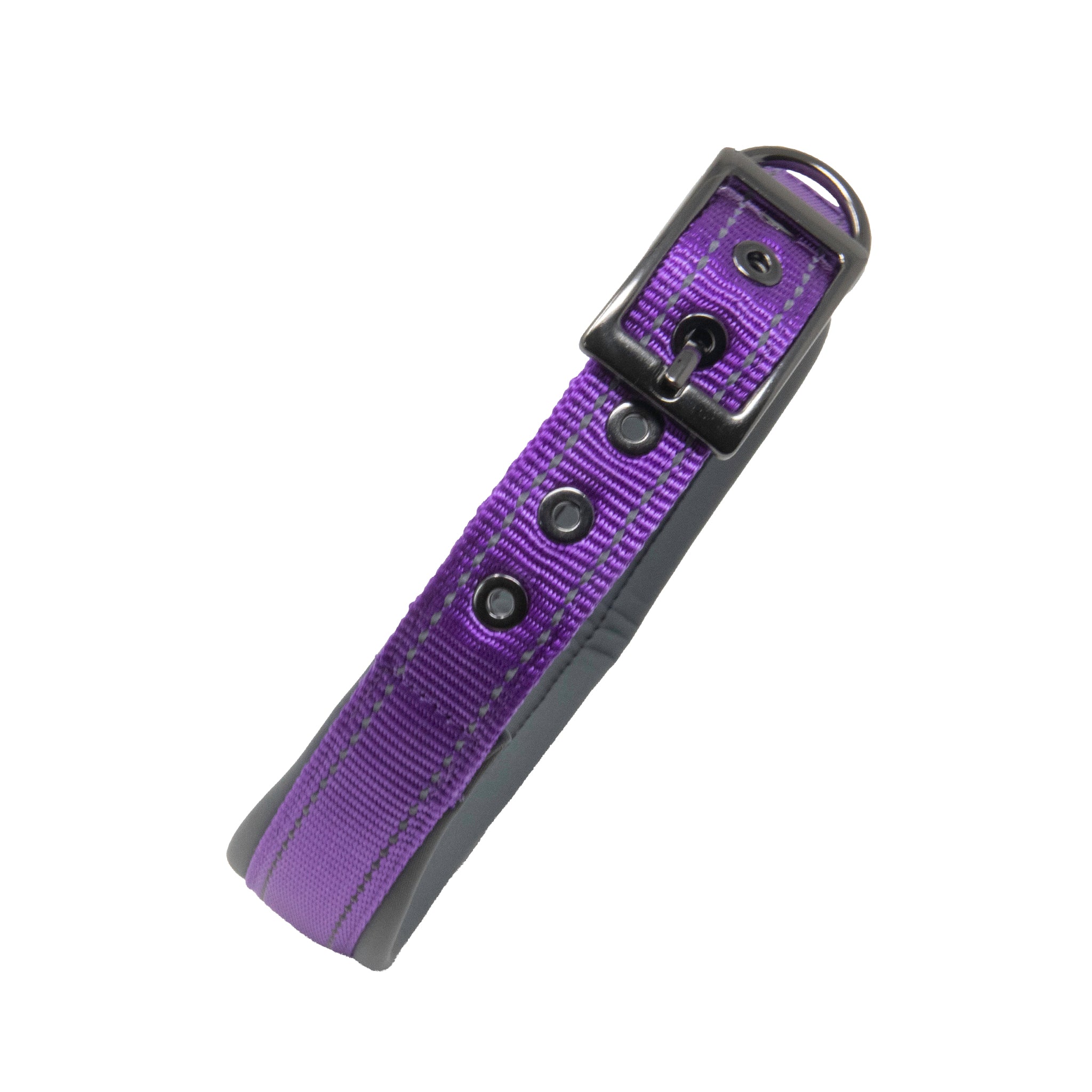 Sports Dog Collars