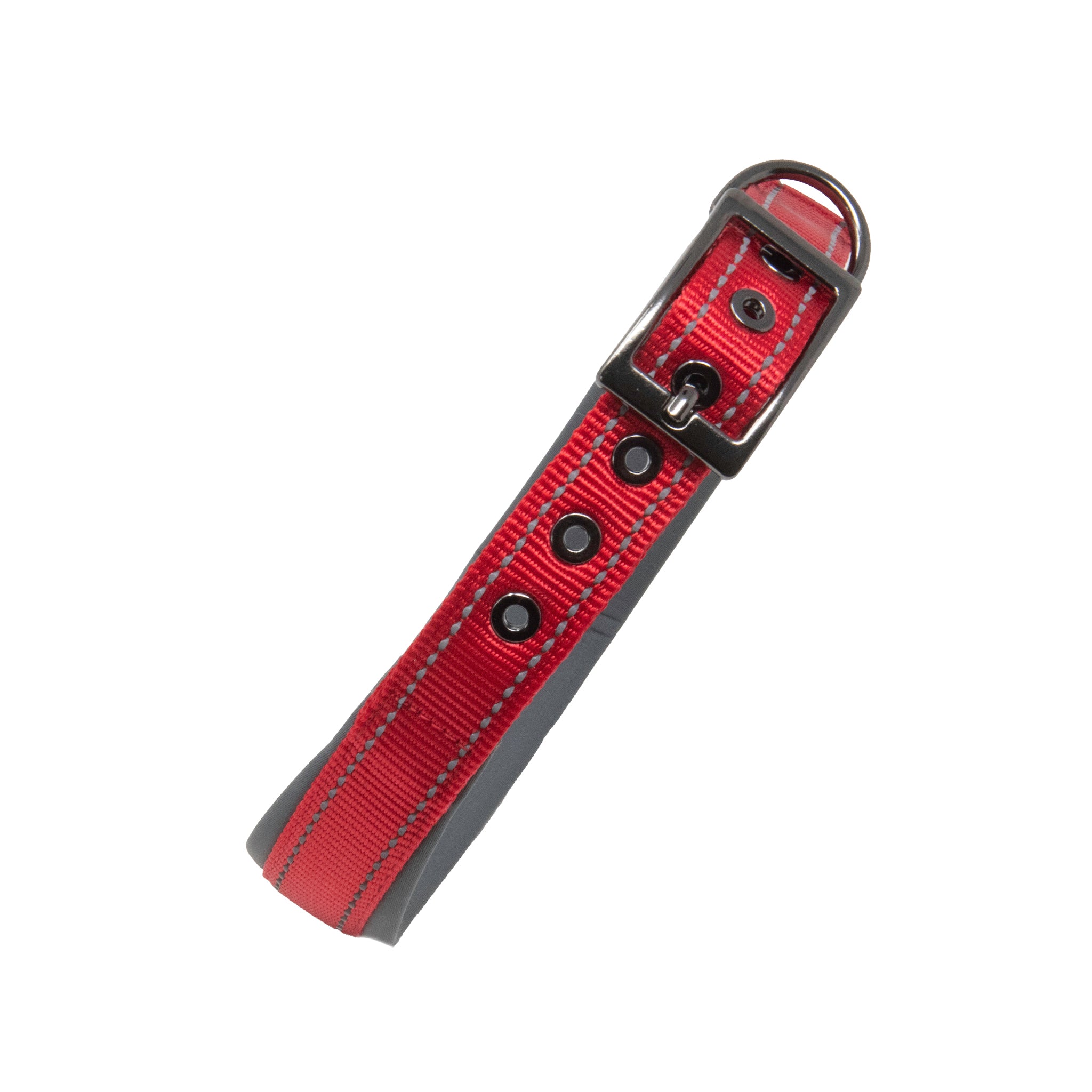 Sports Dog Collars