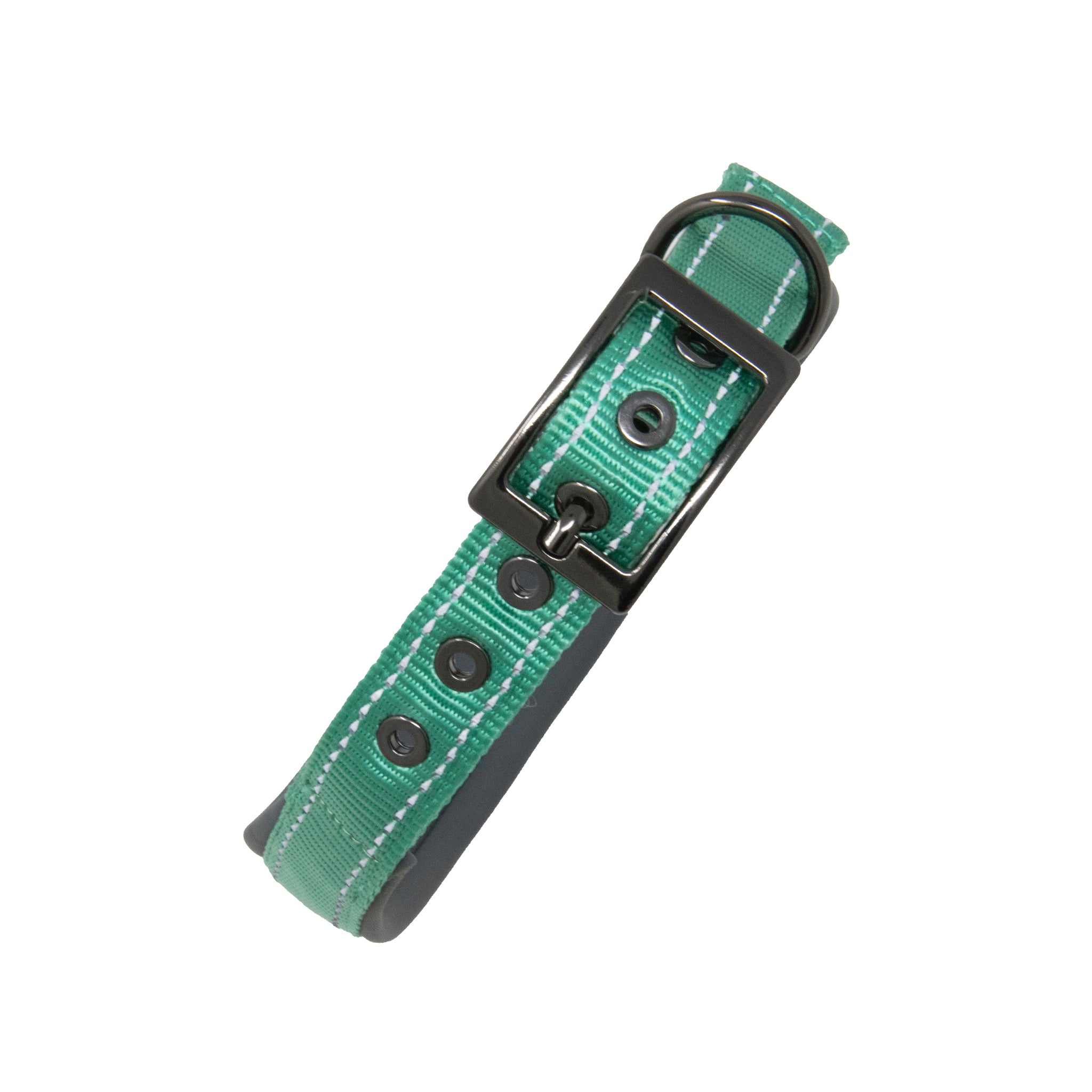 Sports Dog Collars