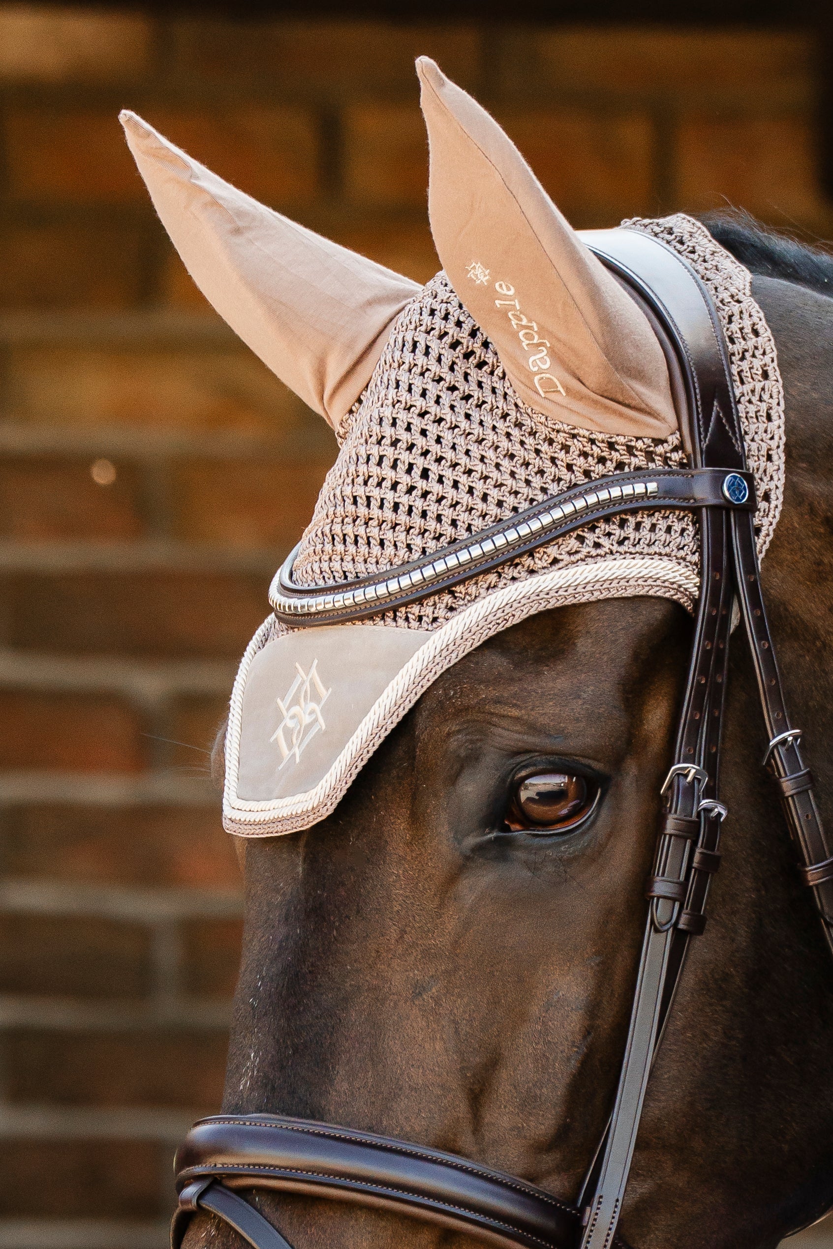 Velvet Irish Cream Saddle Pad and Fly Veil Set