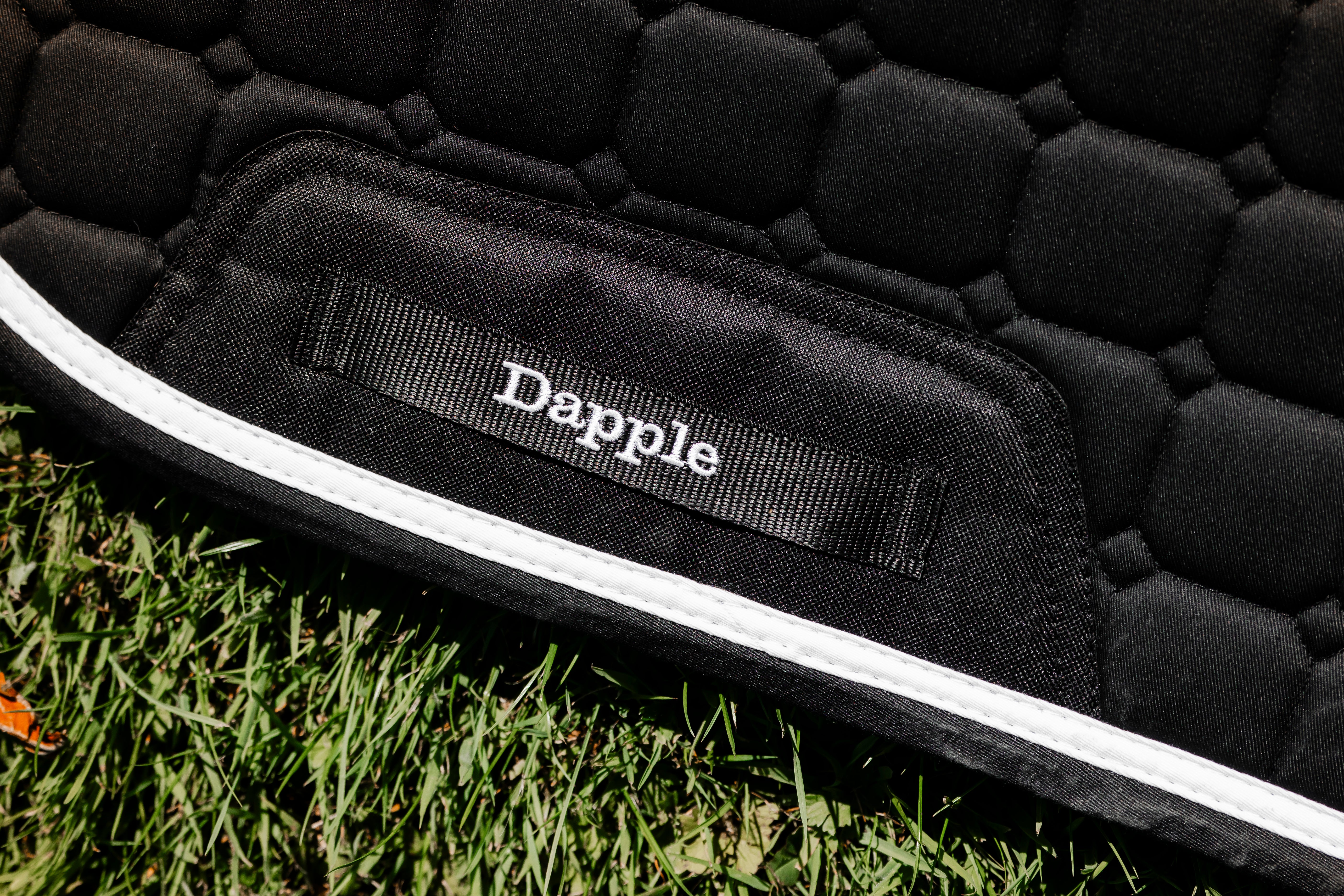 Black Saddle Pad and Fly Veil Set