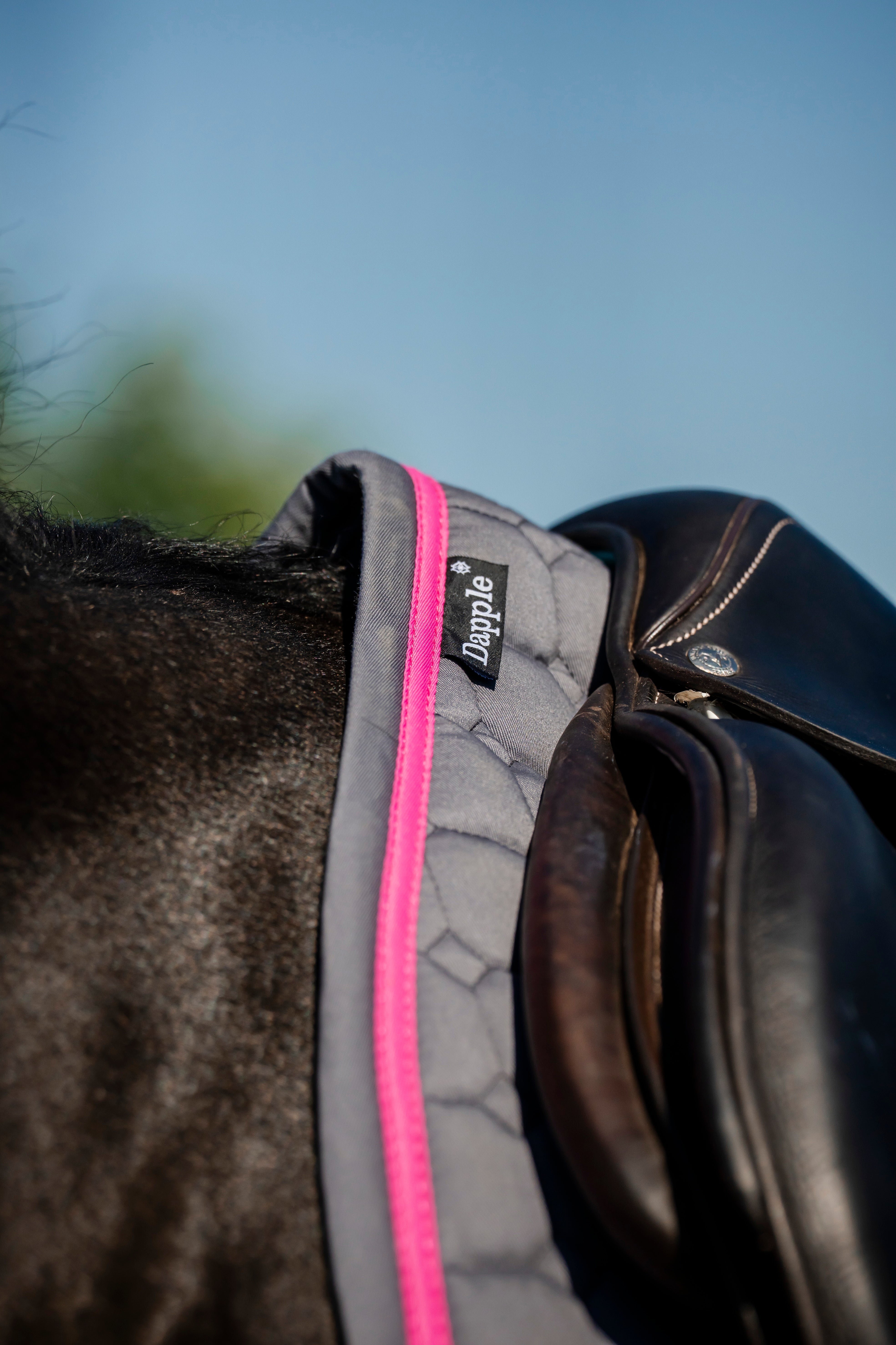 Dapple Grey & Fuchsia Close Contact Saddle Pad