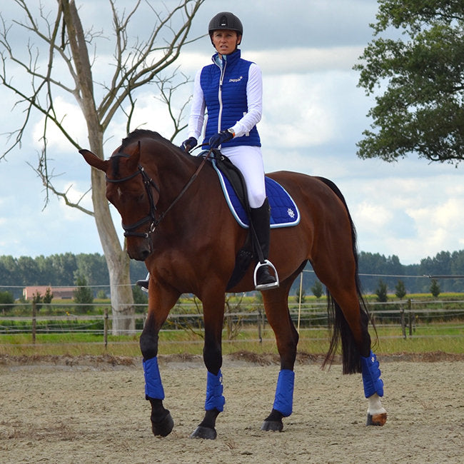 Dapple Equestrian Blue Horse Boots