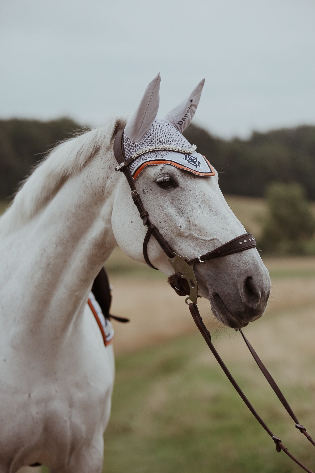 Cloud Grey Fly Veil on white horse