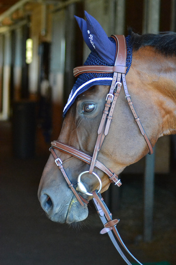 Dapple Cognac Anatomical Bridle on Horse