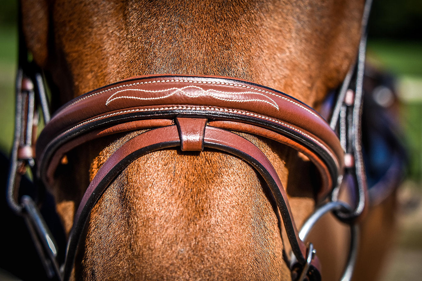 Dapple Cognac Bridle close up