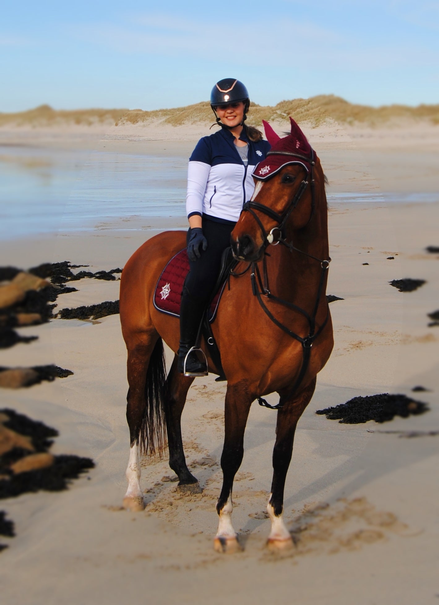 Wild Atlantic Rider wearing Dapple Equestrian Training jacket on a horse wearing Dapple Equestrian Burgundy Jump Saddle Pad and Fly Veil