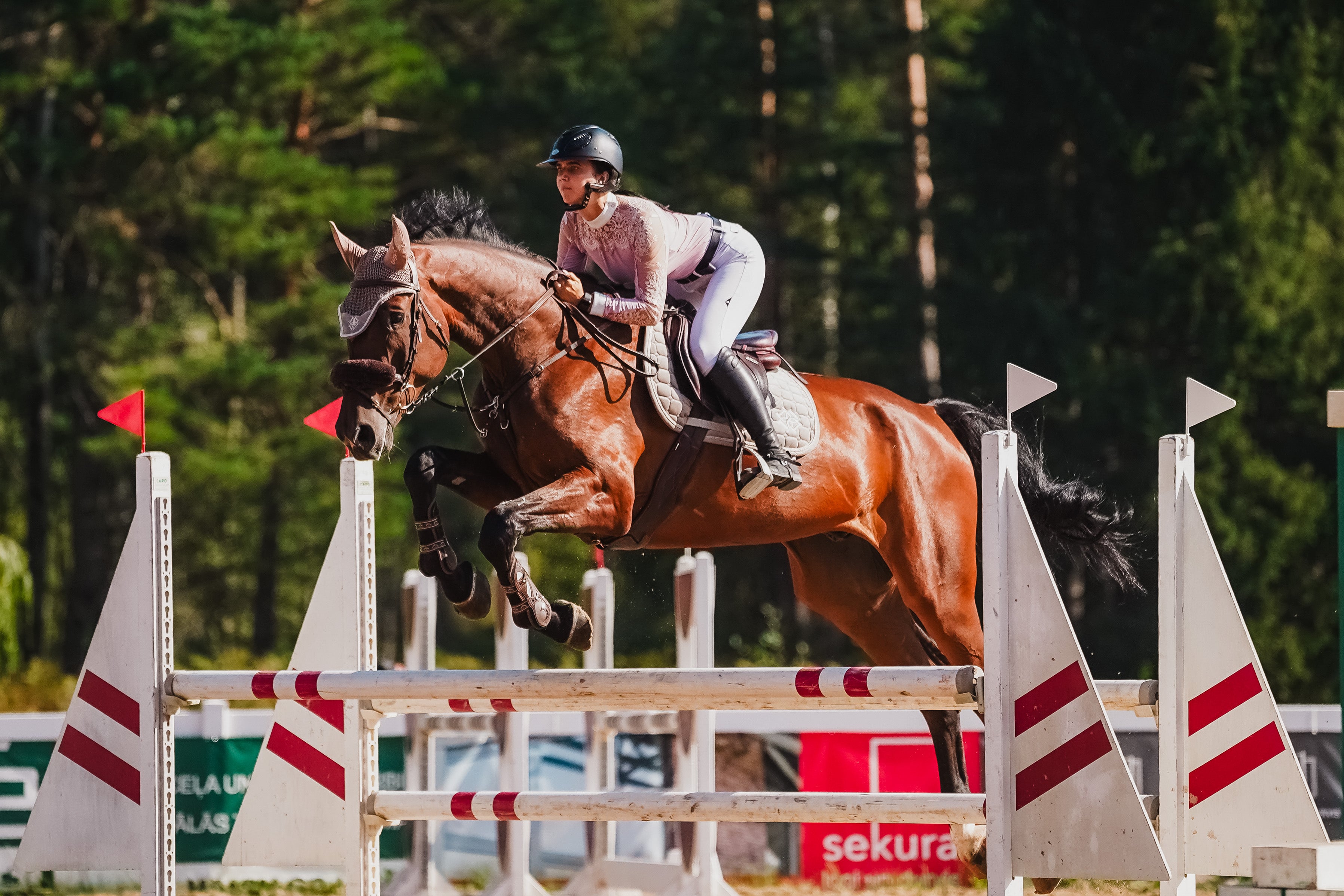 Show Jumping horse wearing Dapple Equestrian Irish Cream Saddle Pad and Fly Veil