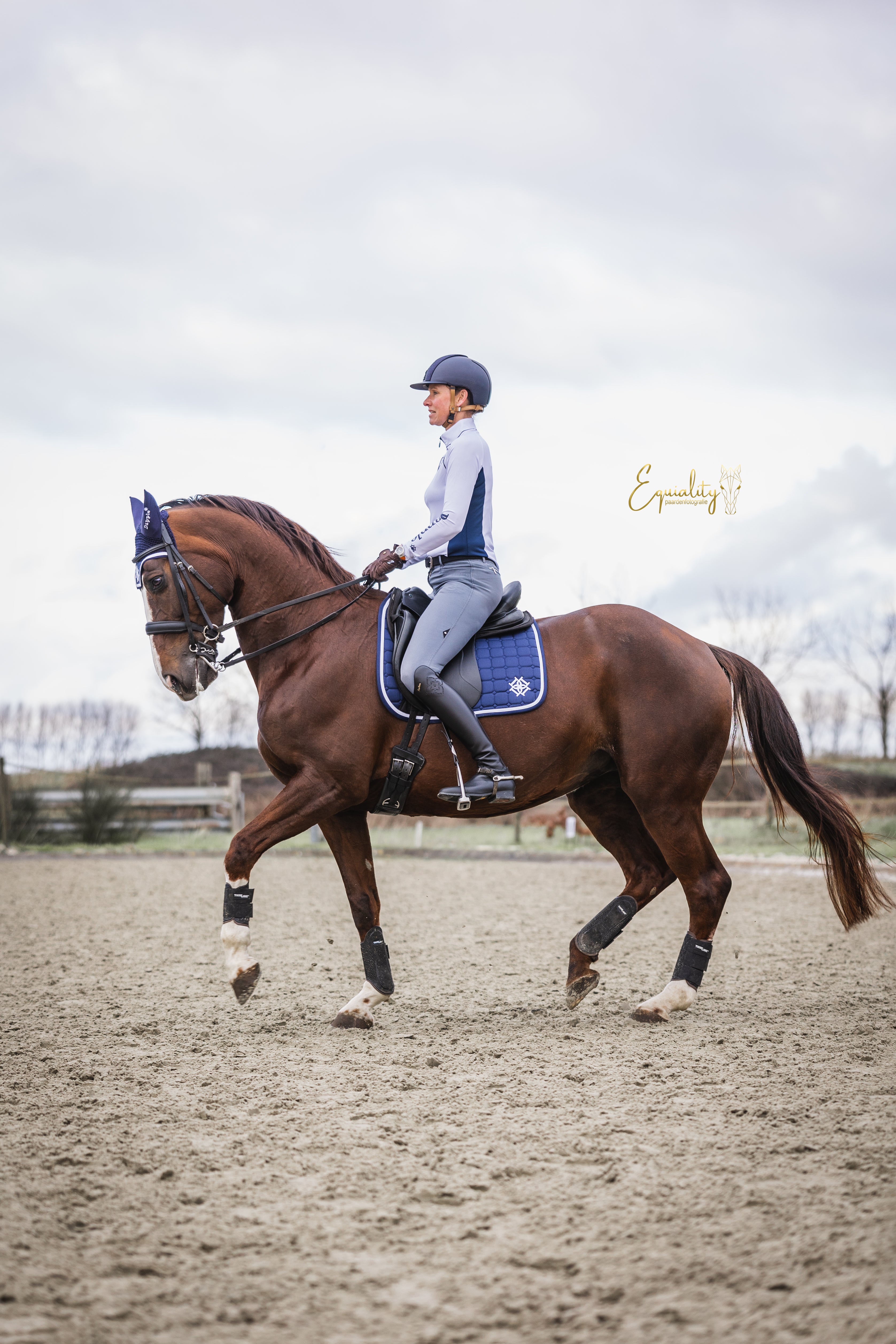 Navy Dressage Saddle Pad by Dapple Equestrian