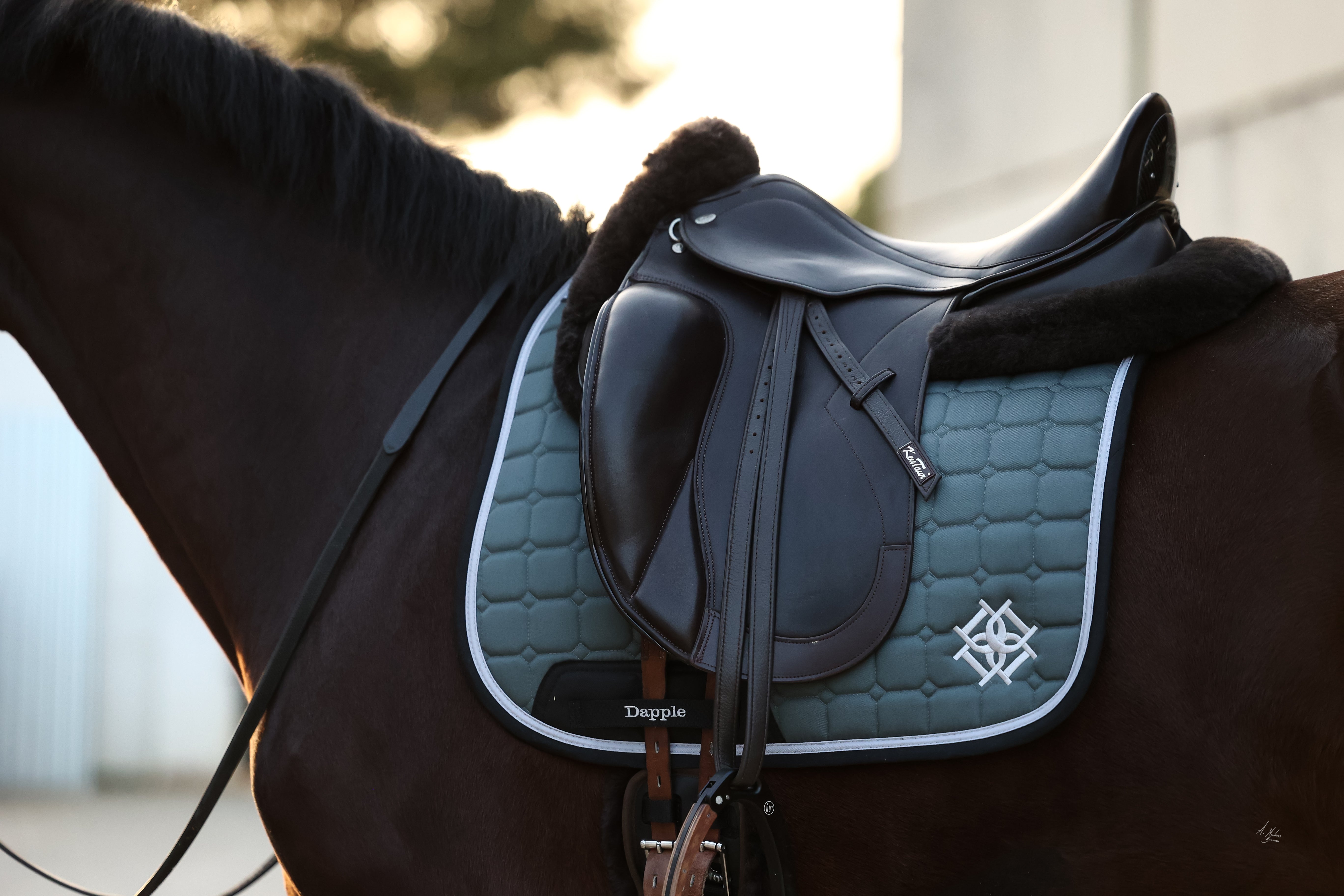 Pine Dressage Saddle Pad