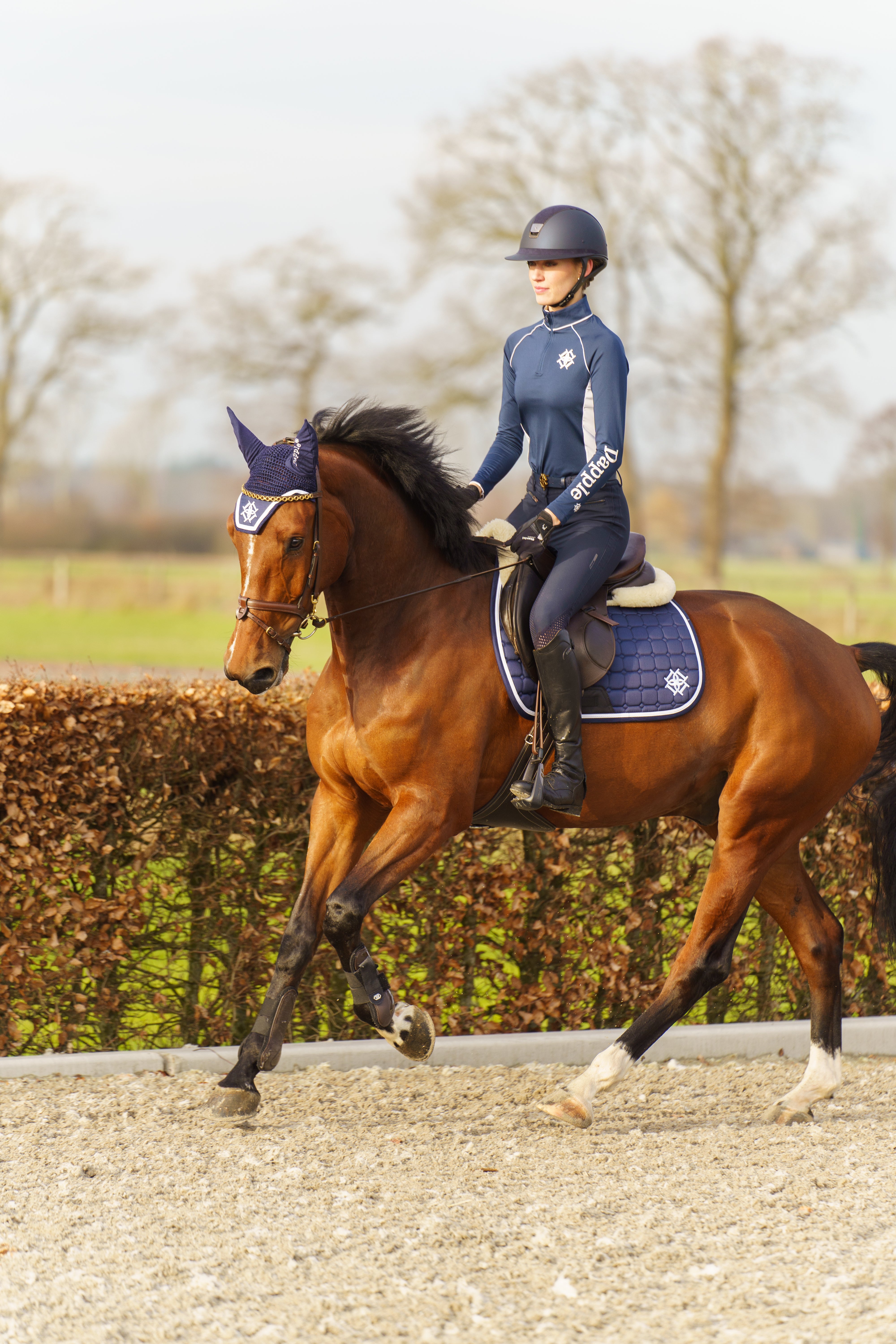 Horse rider and horse wearing Dapple Navy matching baselayer saddle pad and fly veil