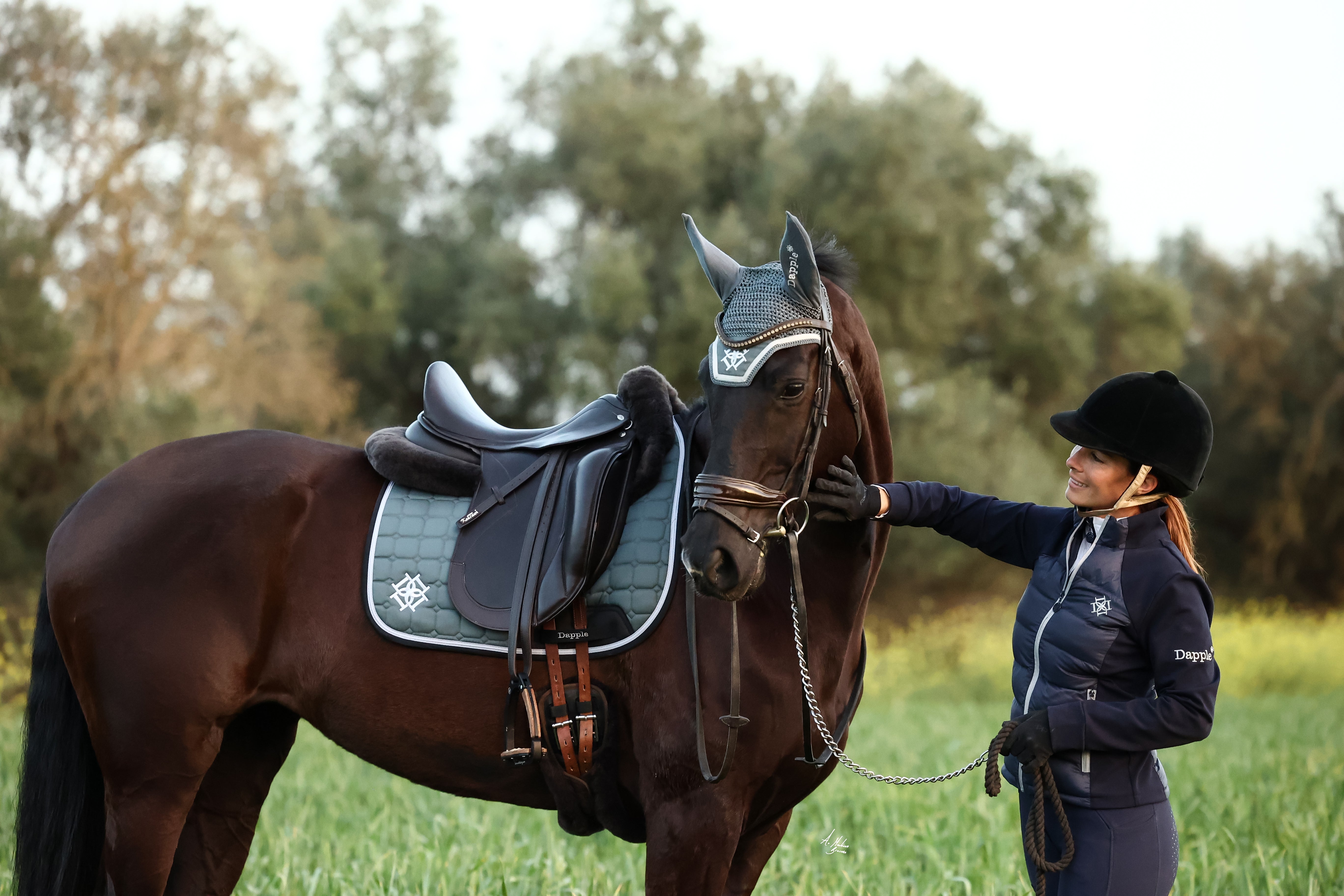 Horse wearing Dapple Pine Dressage Saddle Pad and Ear Bonnet with Rider wearing Dapple Hybrid Jacket