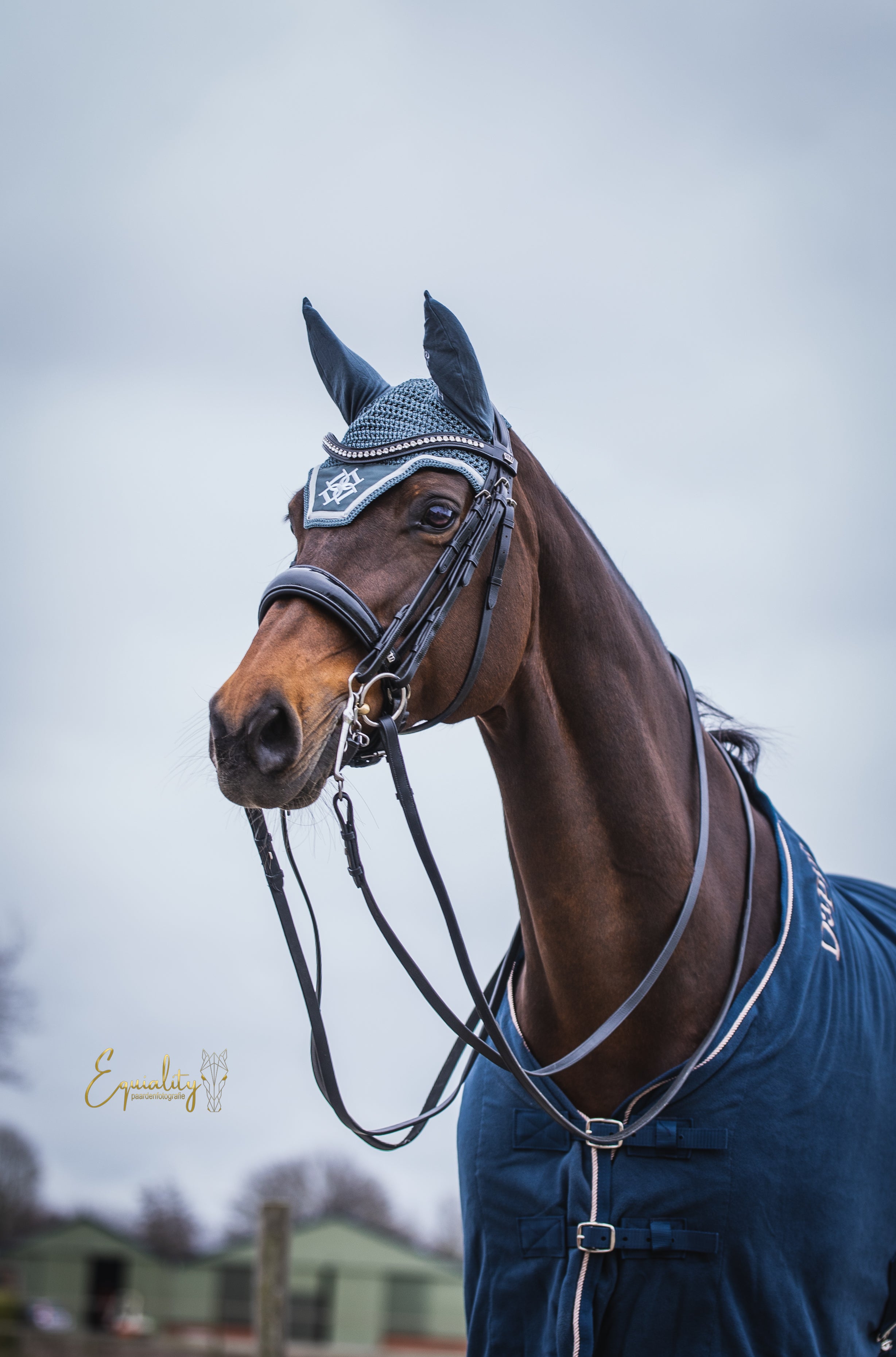 Dapple Pine Ear Bonnet or Fly Veil and Dapple Horse Rug