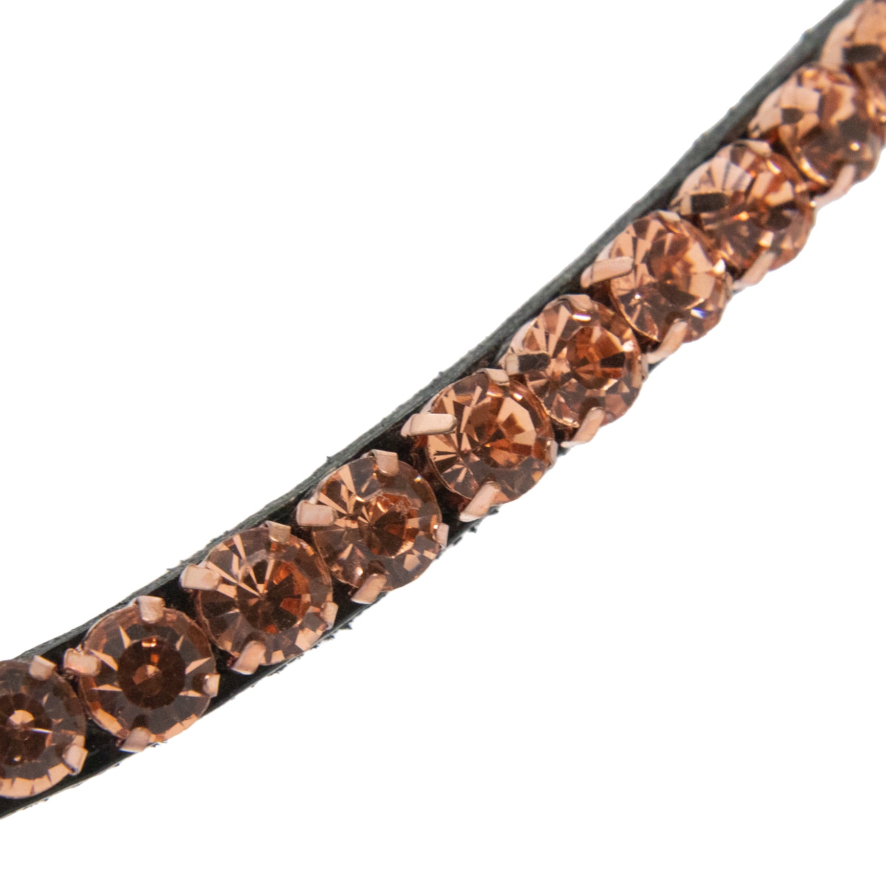 Dapple Equestrian horse browband with orange Diamante details called rose Browband