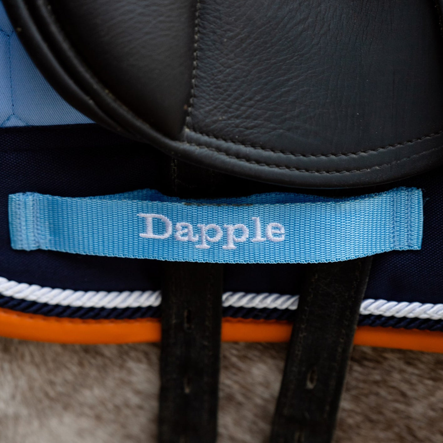 Close Up of a Dapple Sky Blue Saddle Pad