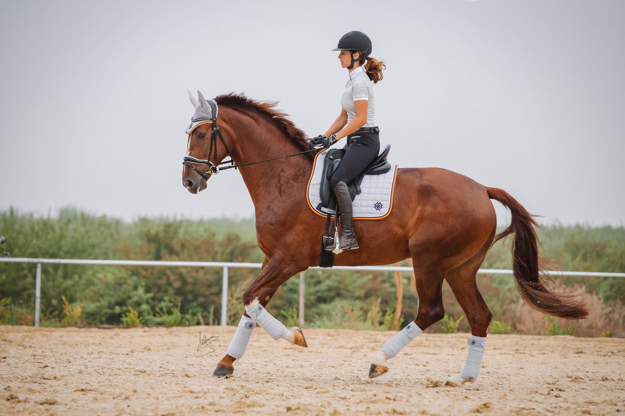 Dressage Horse and Rider wearing Cloud Grey full set Dapple Equestrian