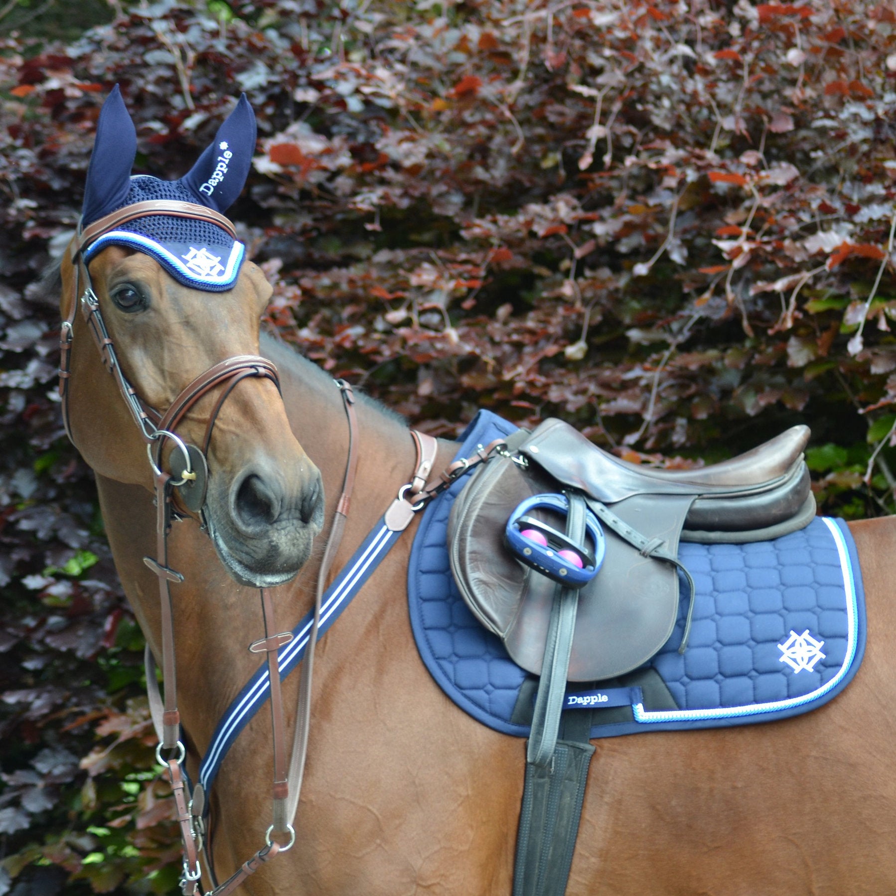 Navy Silver and Blue Ear Bonnet