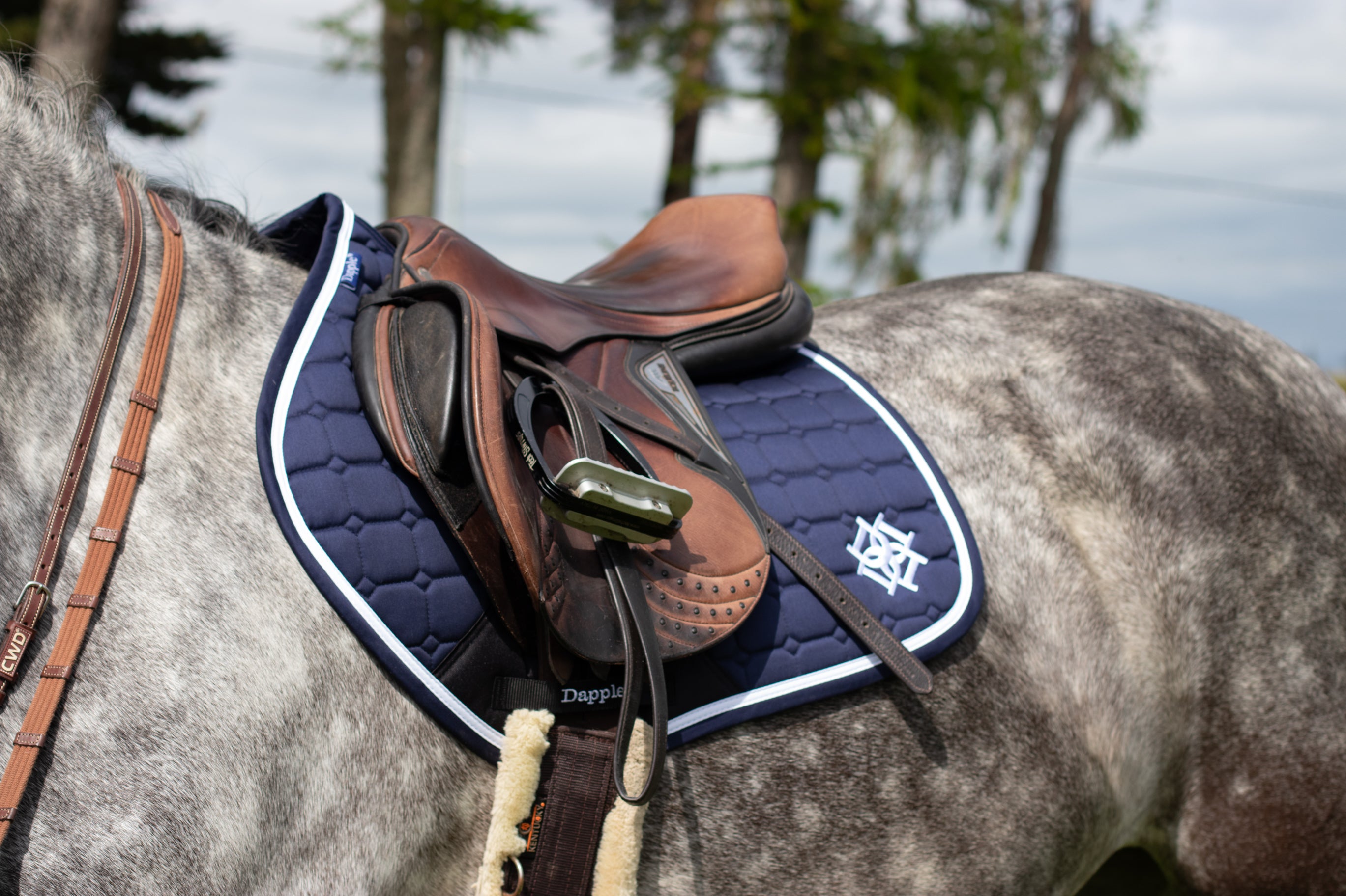 Navy Close Contact Saddle Pad on Dapple horse