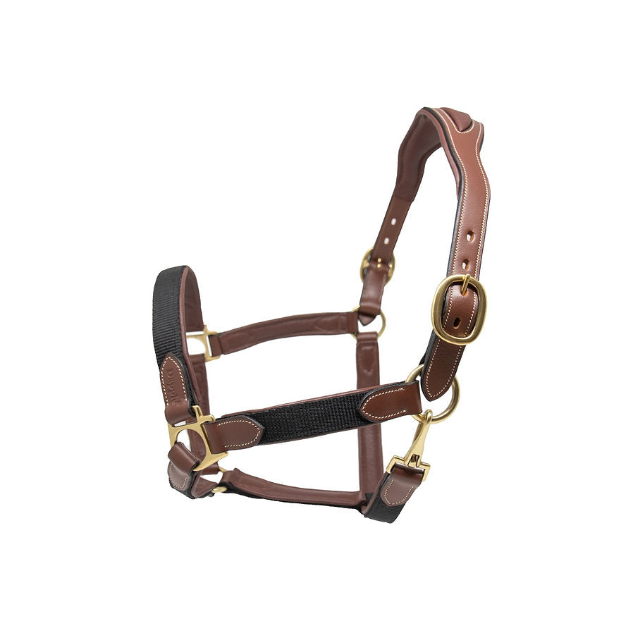Product image of Dapple Equestrian Nylon & Leather Head Collar for Horse and Pony or Cob