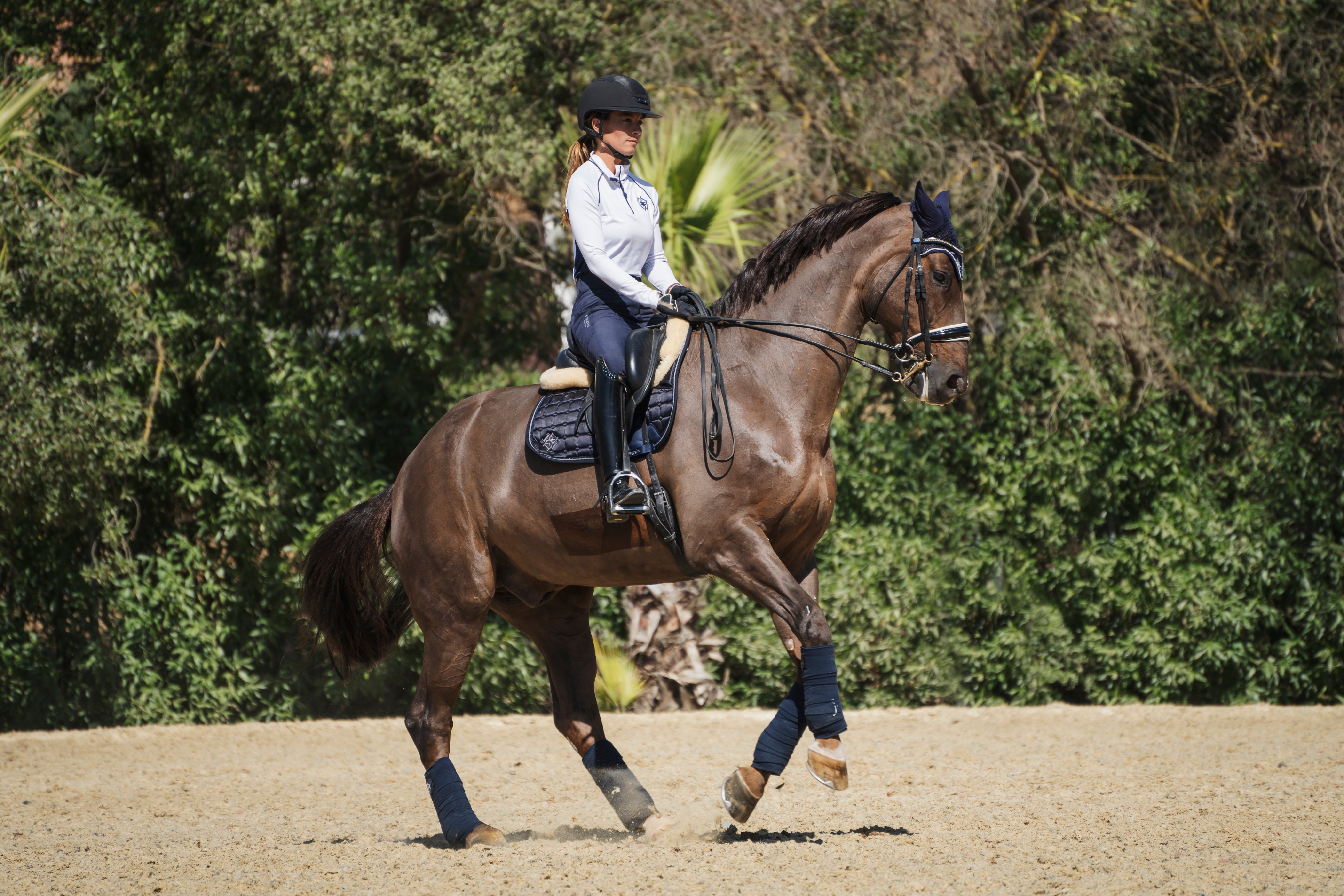 Dressage rider riding horse wearing Oxford Blue Dressage Saddle Pad by dapple Equestrian