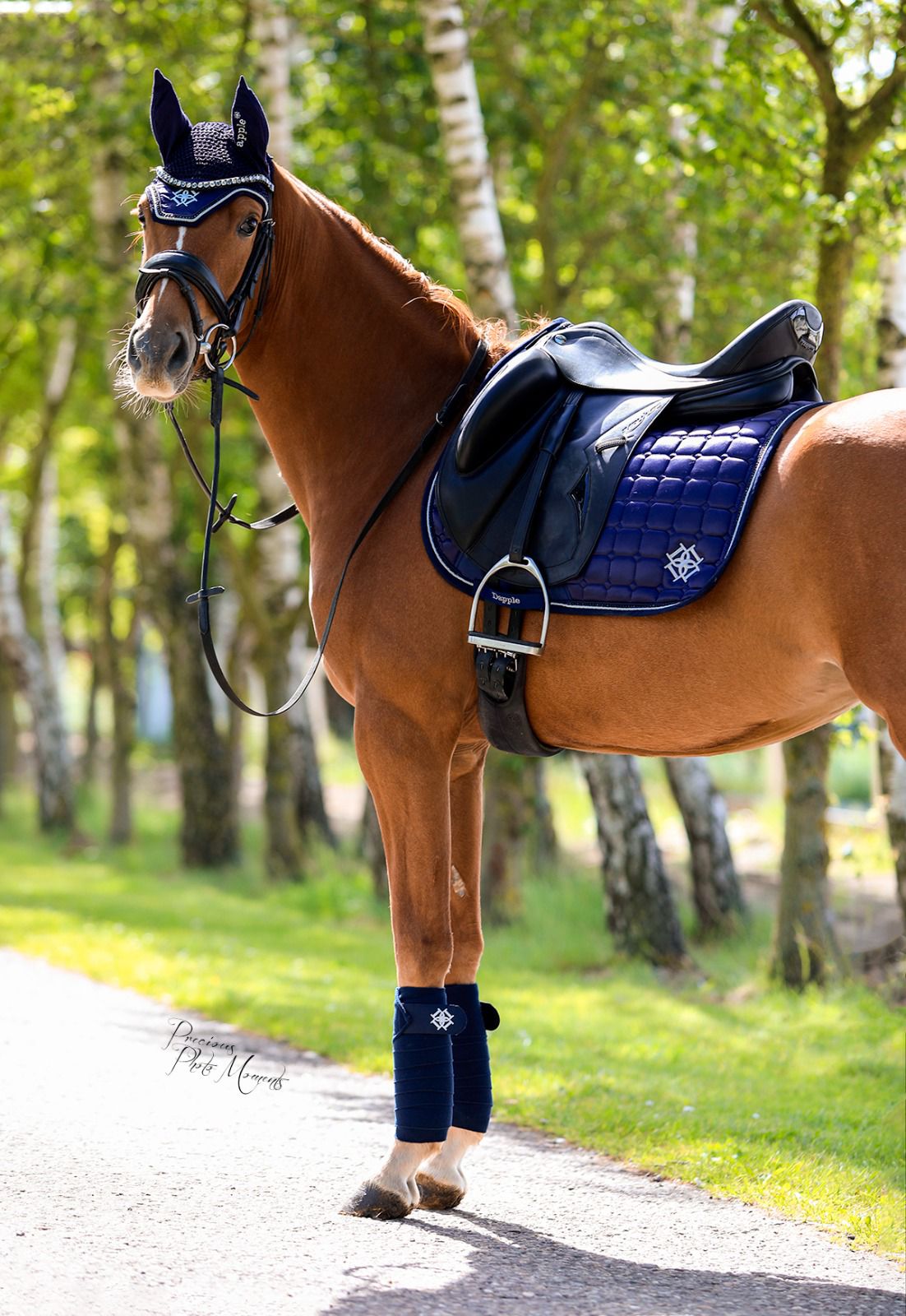 Oxford Blue Matching Saddle Pad and Fly Veil