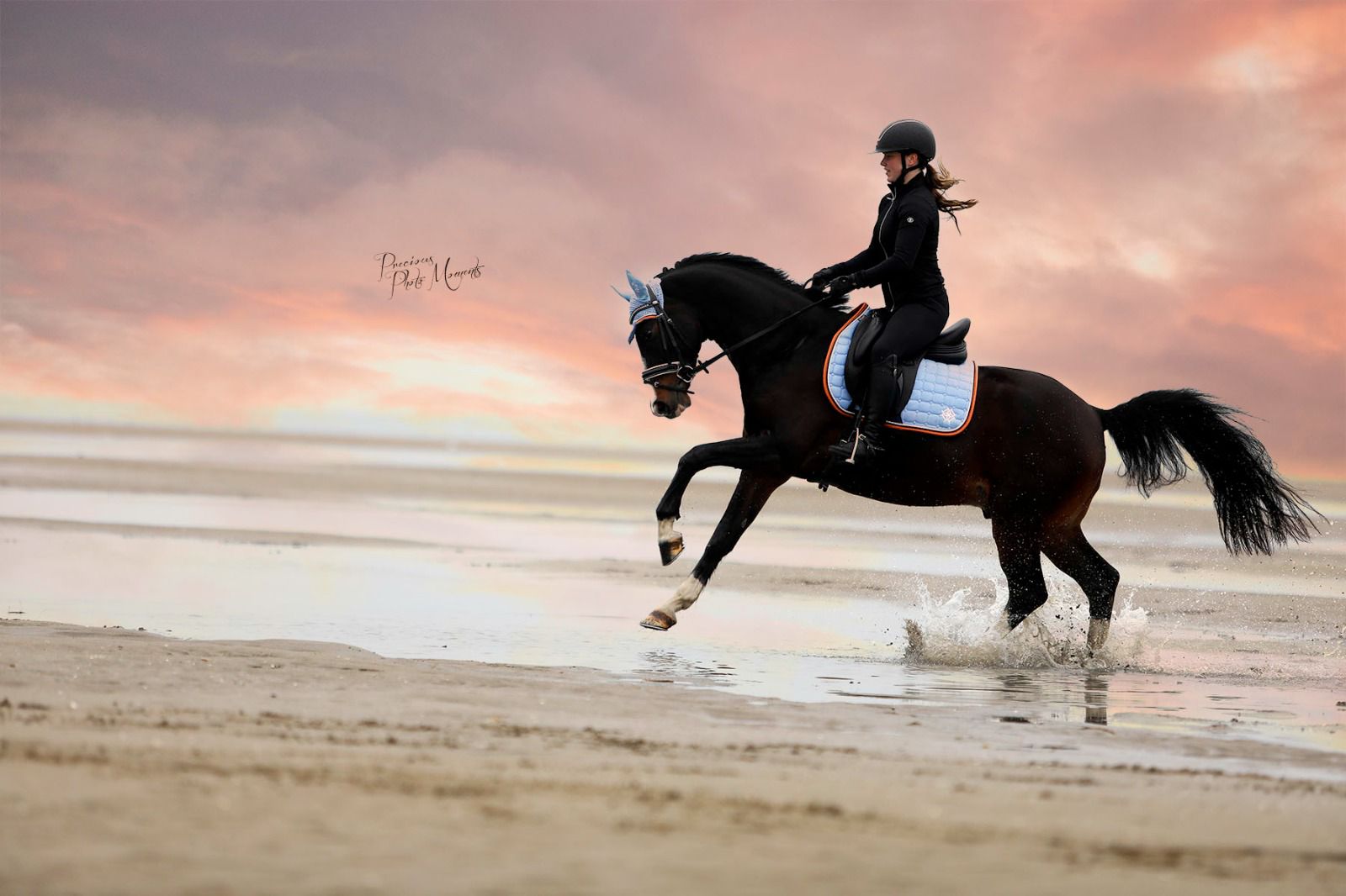 Horse and rider on beach at evening sunset. Horse wearing Sky Blue Saddle Pad and Ear Bonnet