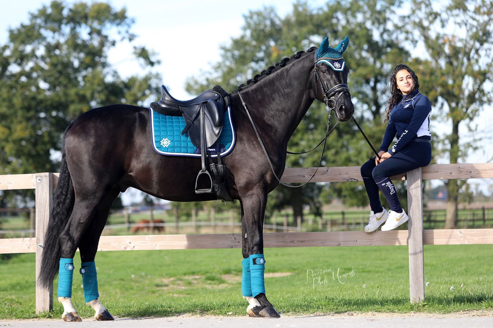 Teal Dressage Saddle Pad with matching bonnet and bandages on black horse