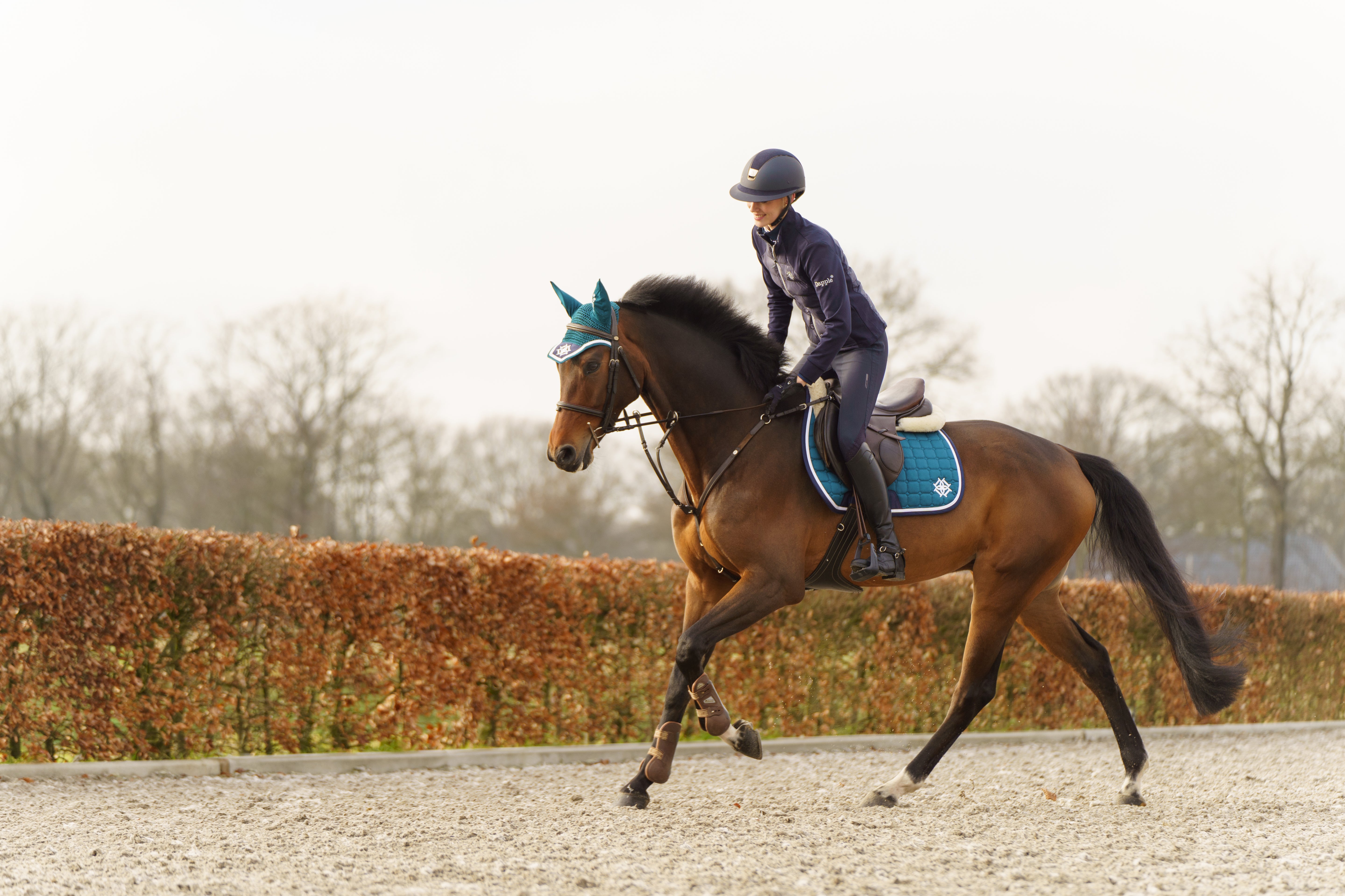 Horse rider Julia Otto riding a horse wearing Dapple Equestrian Teal Saddle Pad and Fly Veil