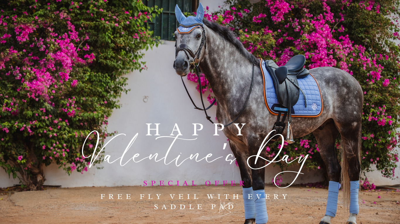 Horse with a saddle pad in front of pink flowers, text overlay for Valentine's Day promotion.