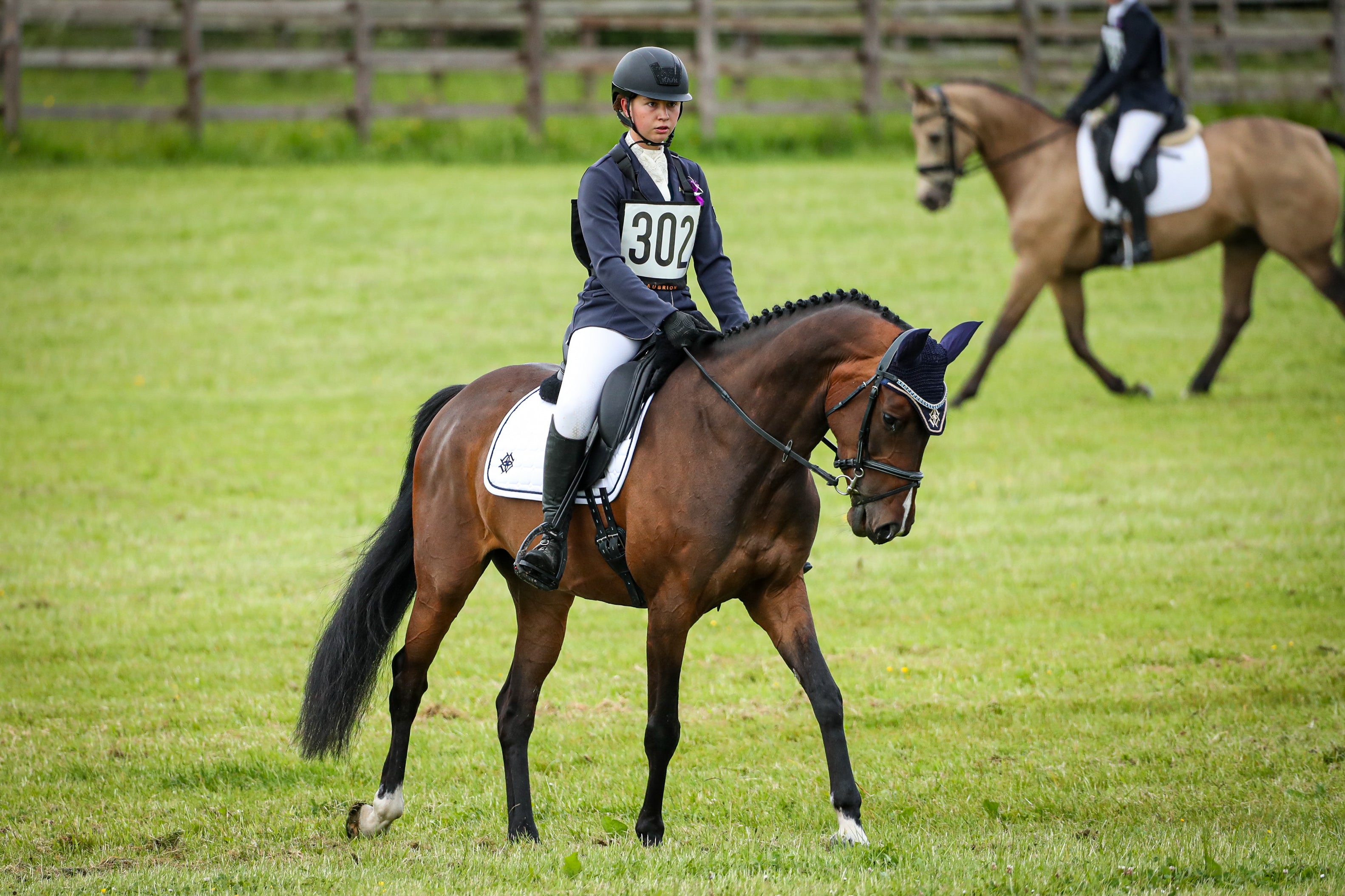Eventer Drew Munro riding horse sporting White Dressage Saddle Pad & Navy Fly Veil